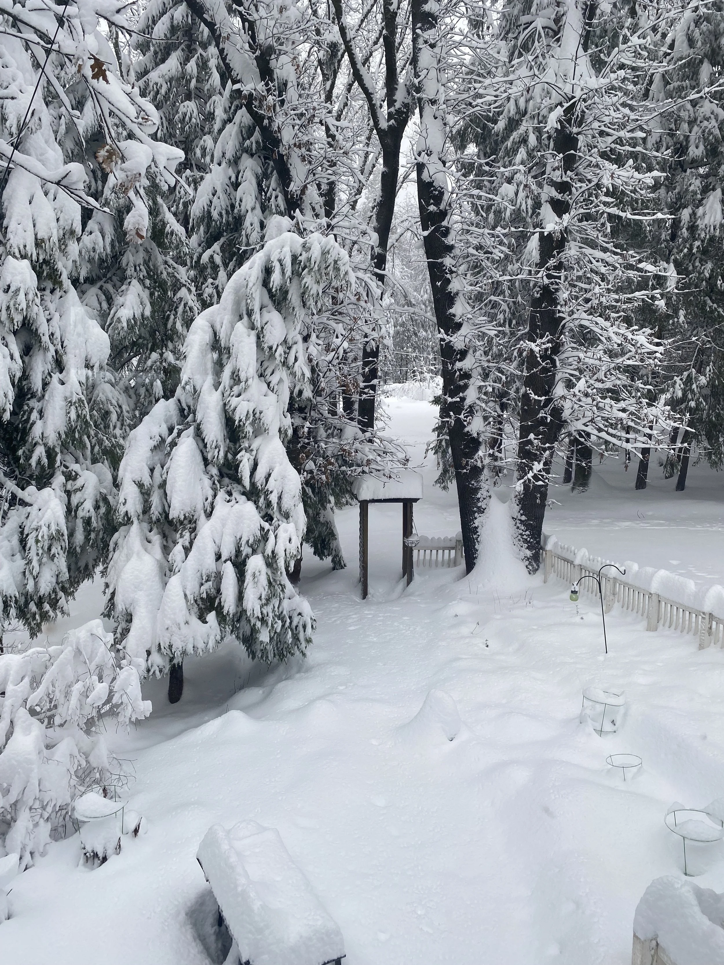 snow.jpeg