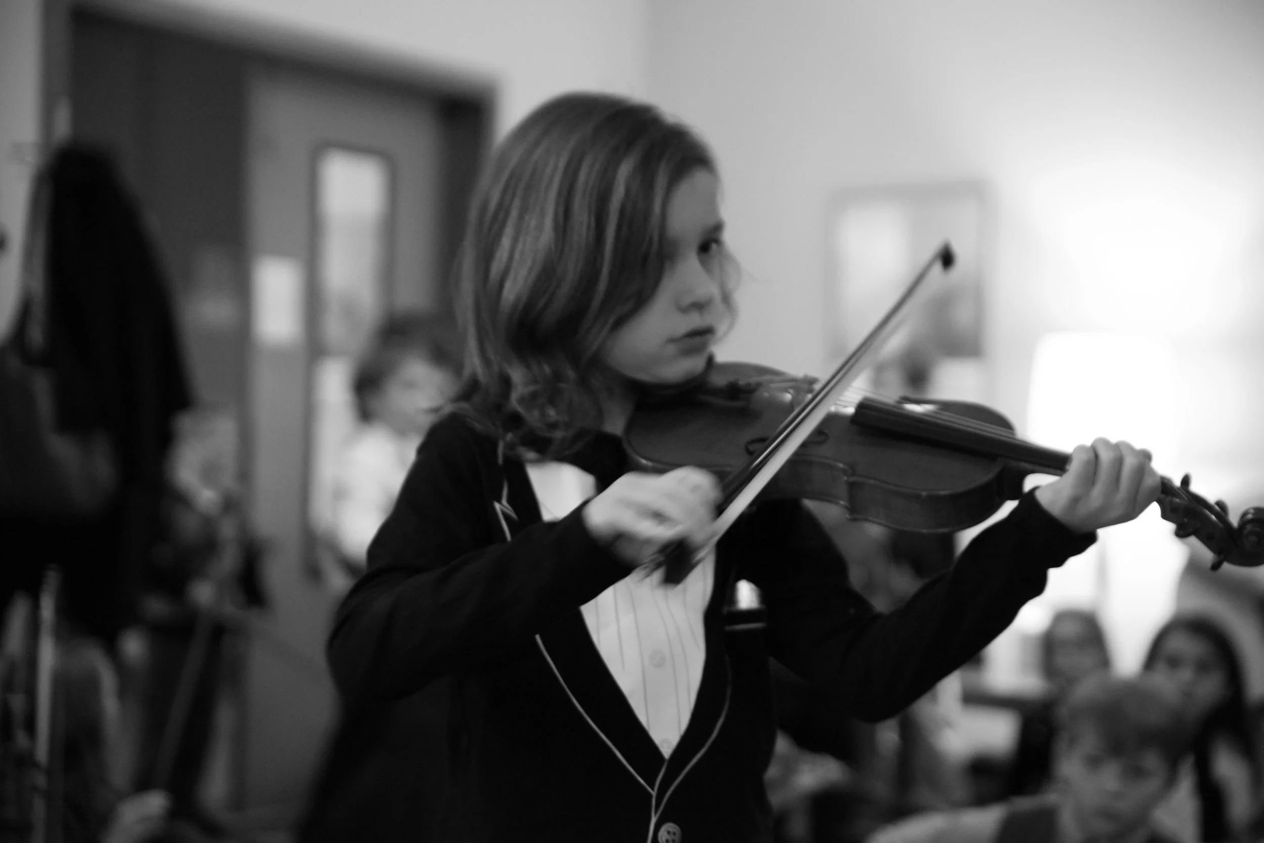 Unique program of private violin, viola, cello and bass lessons in