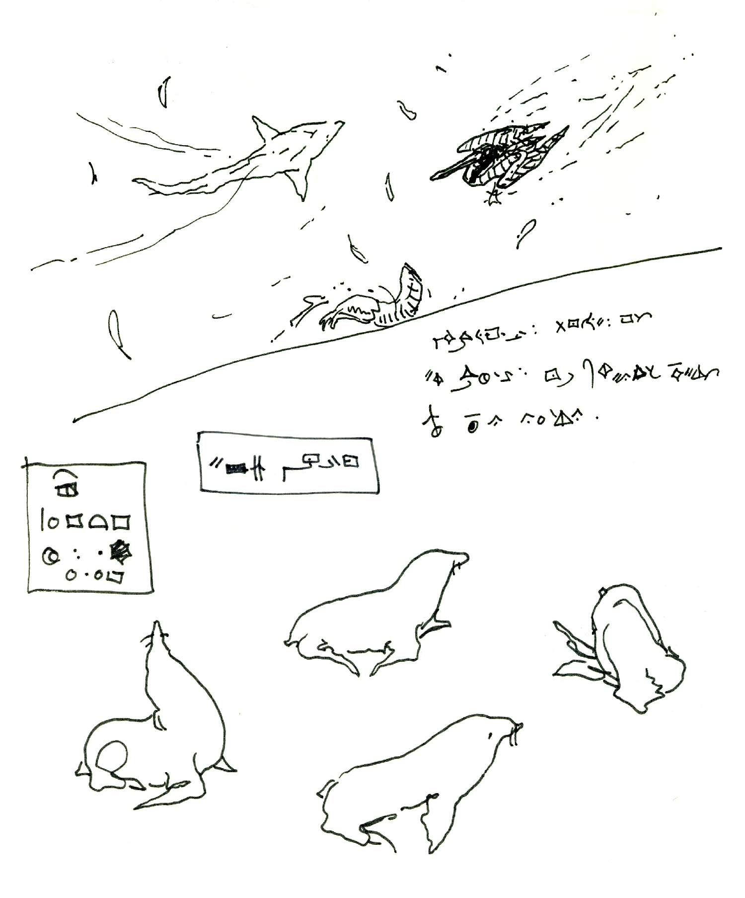 Gpgs_Sealions_02.png