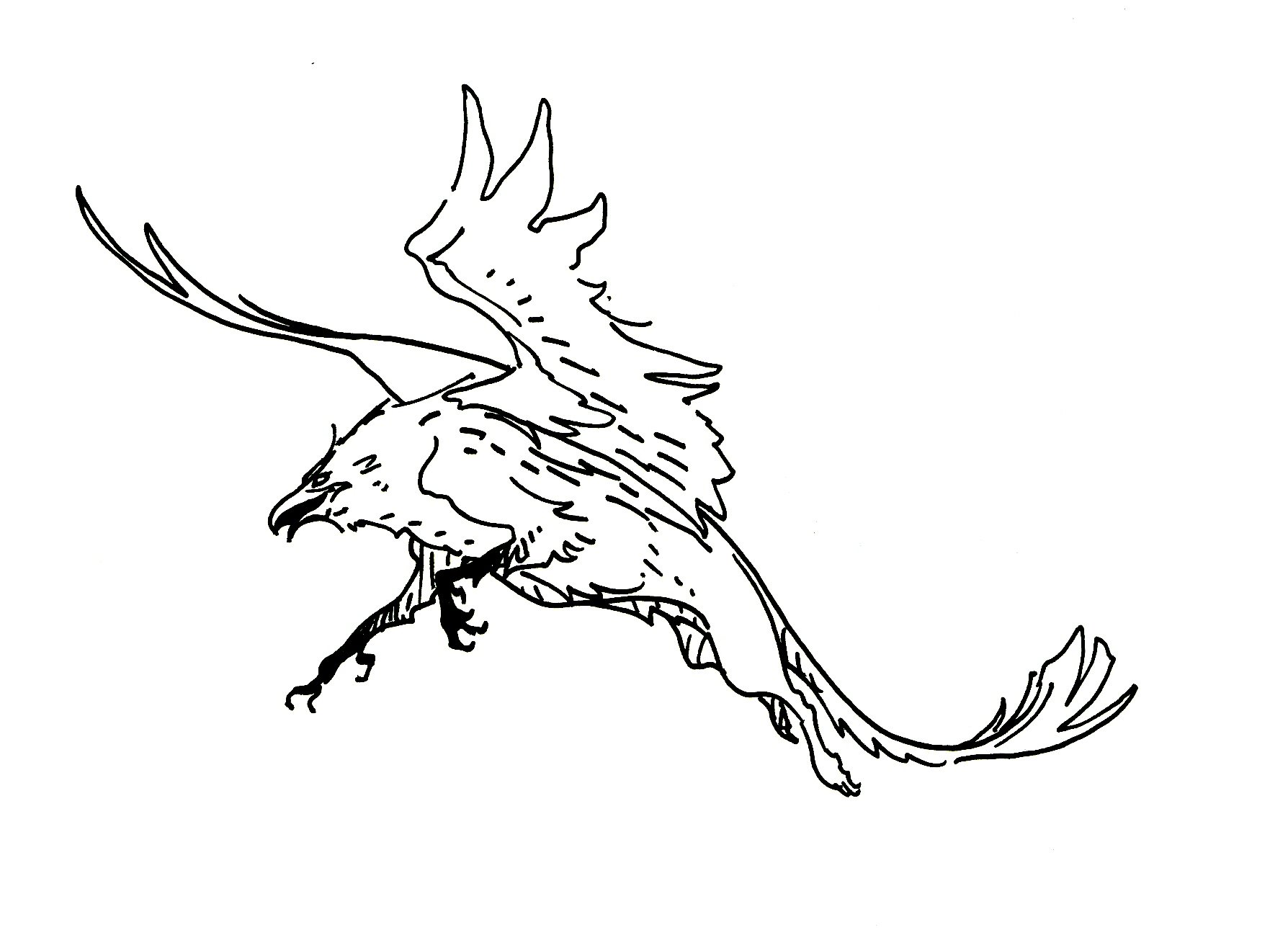 gryphon_01.jpg