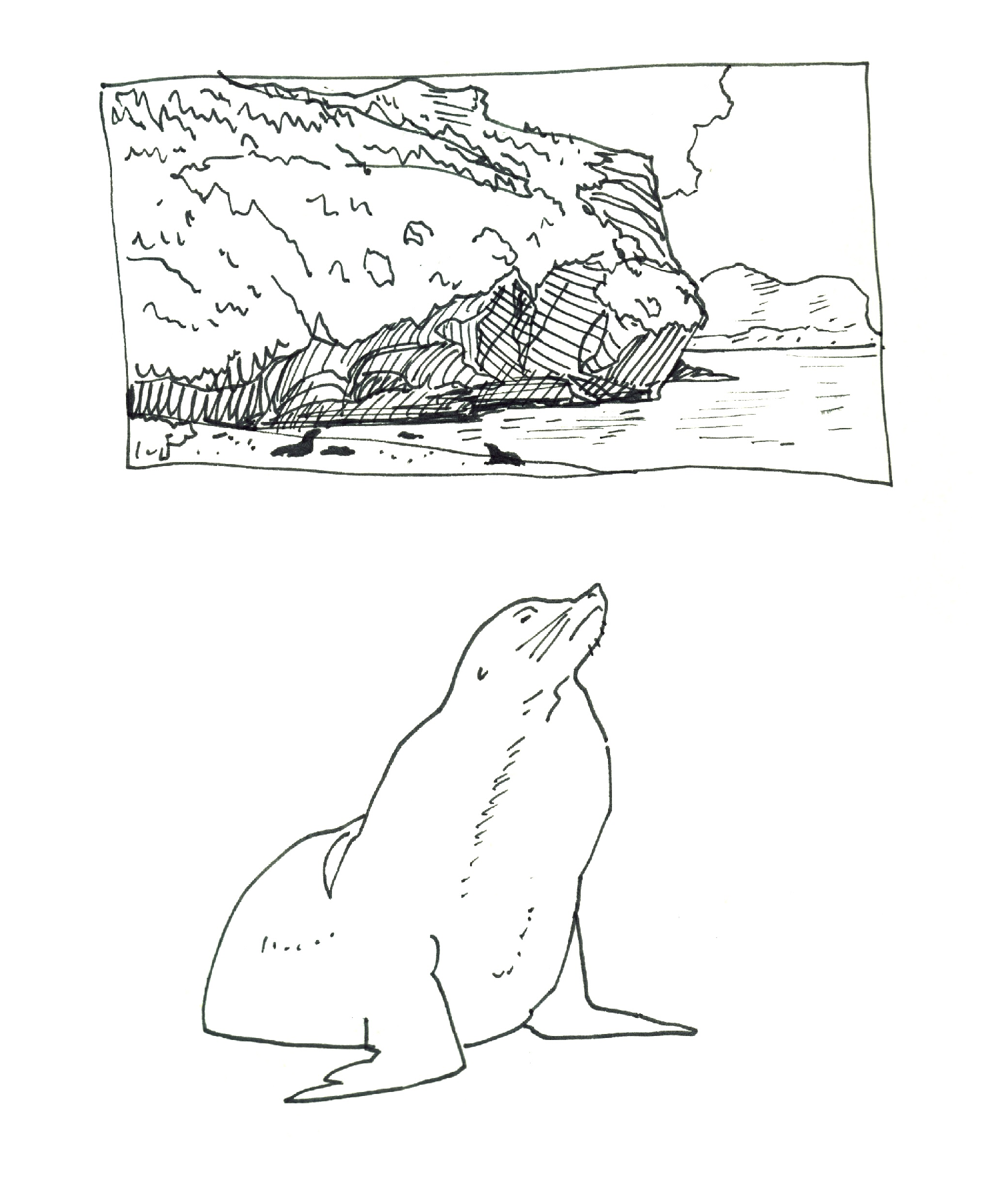 Gpgs_Sealions_06.png