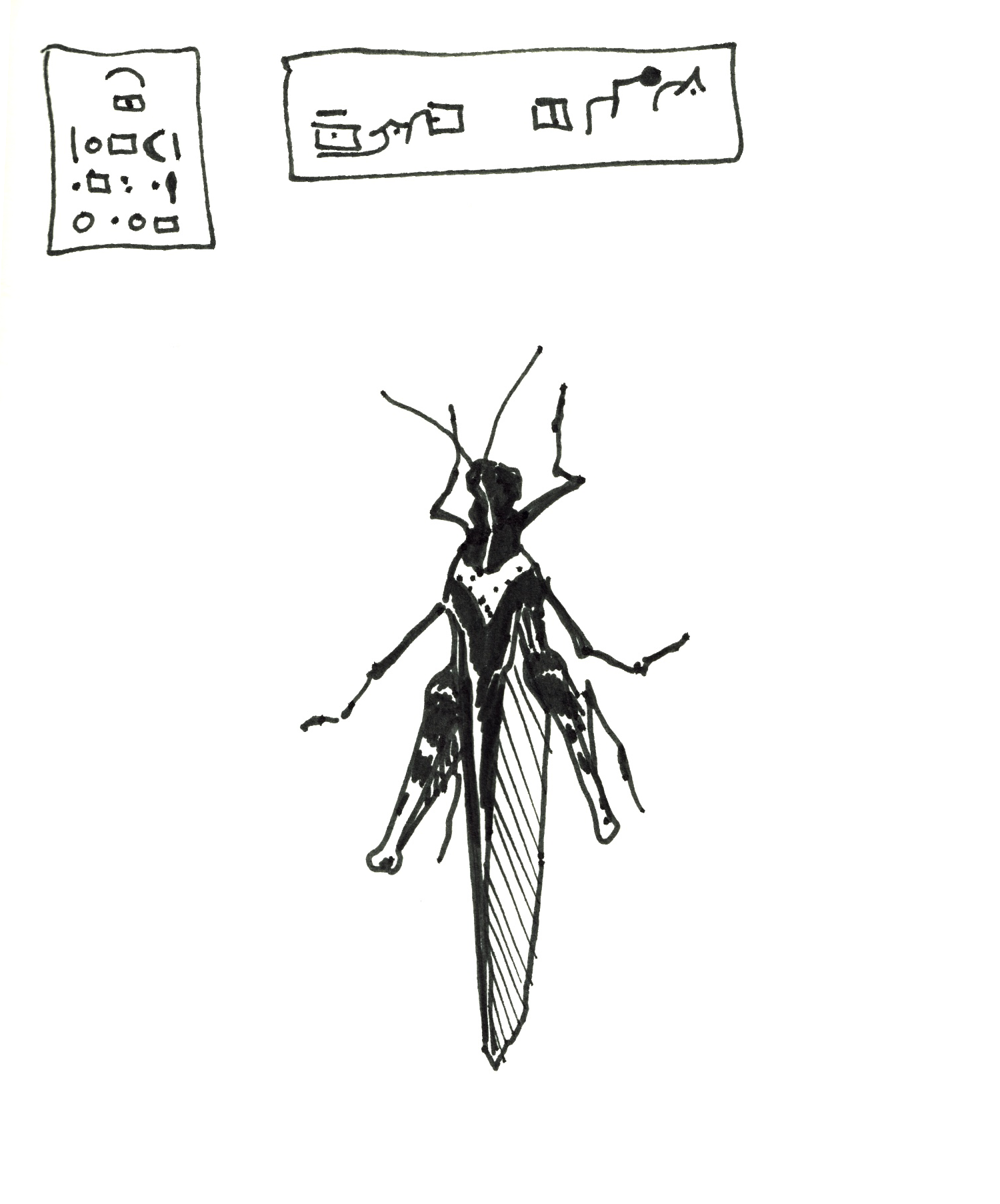 Gpgs_Grasshopper_01.png