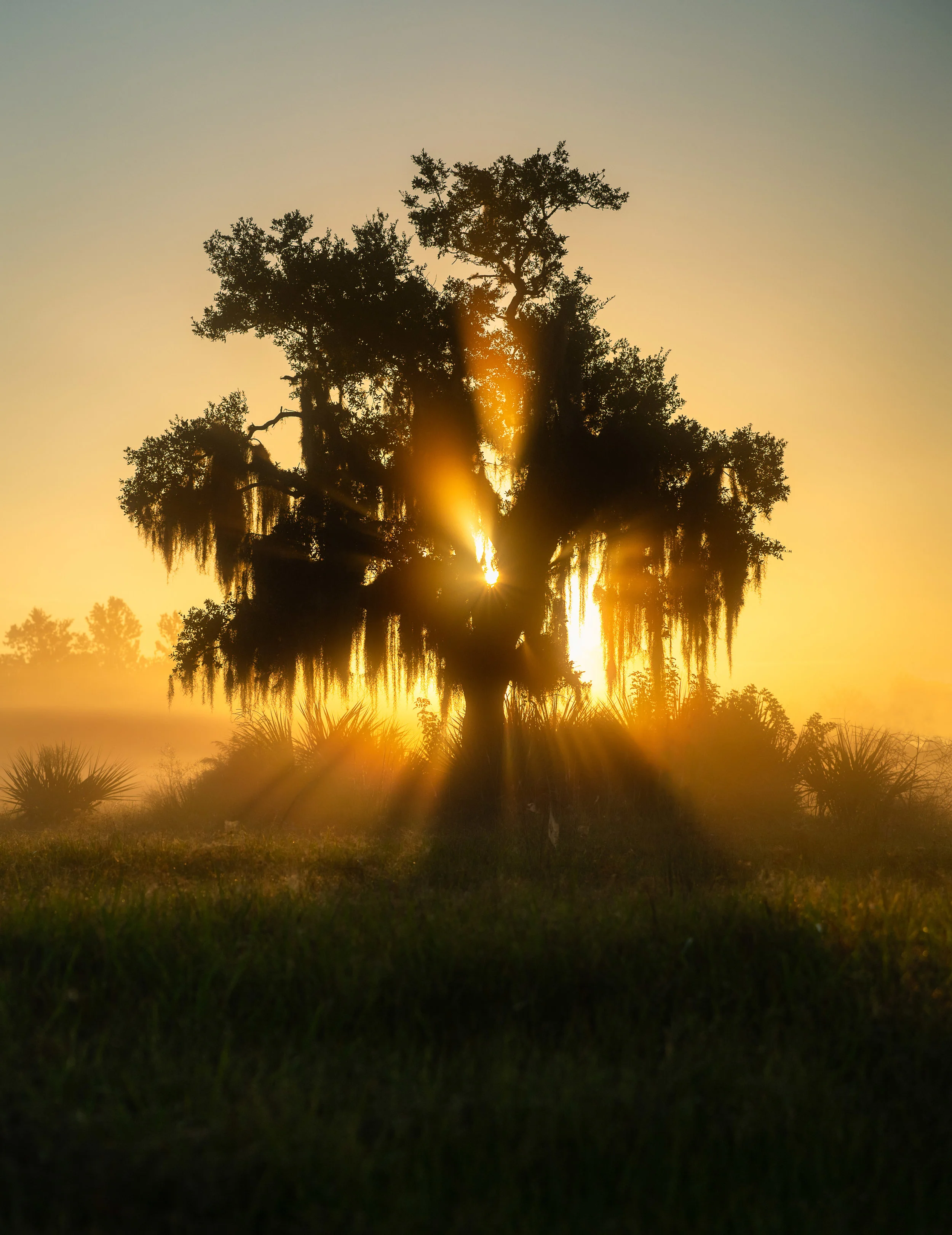 _DSC3850-Edit copy.jpg