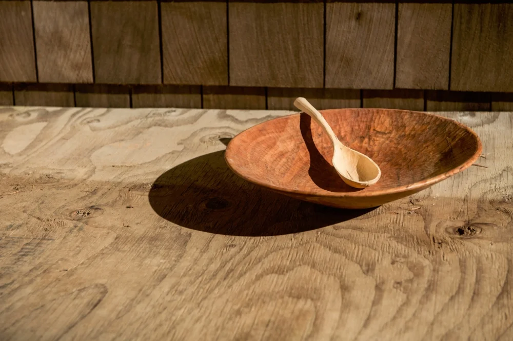 bowl 2 w spoon.jpg