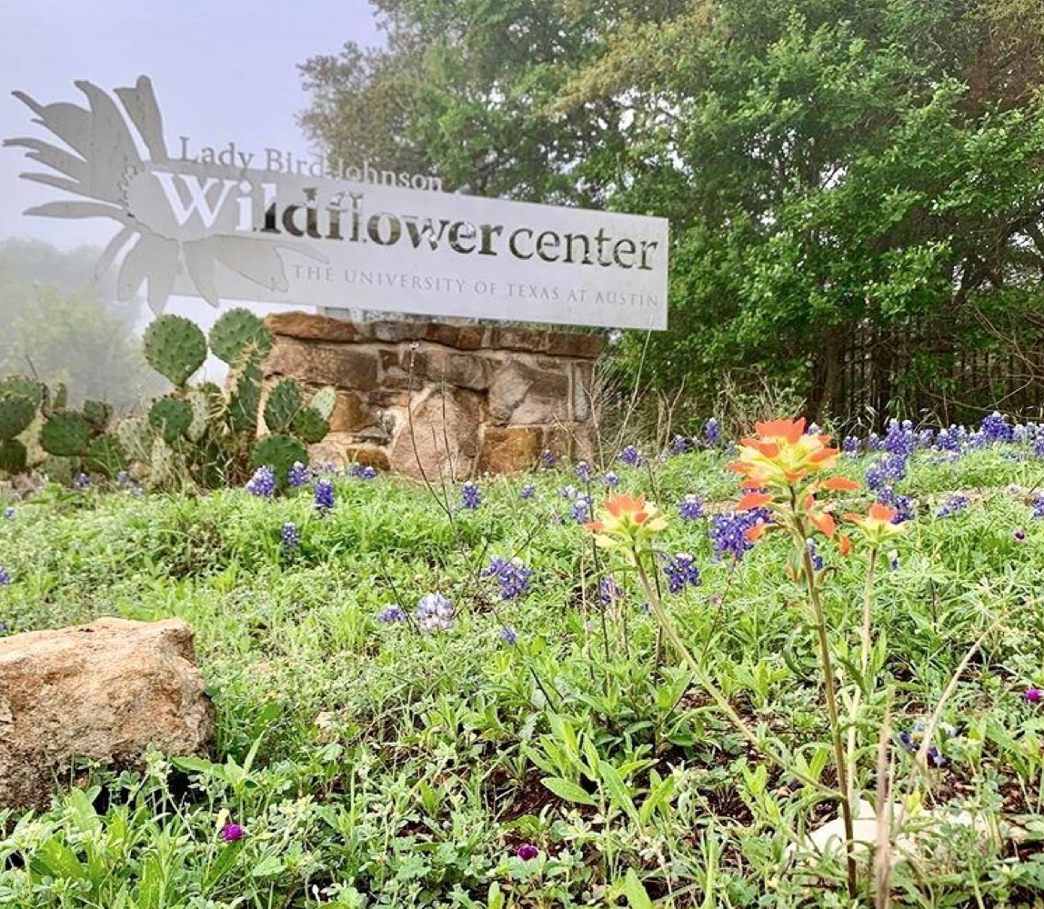 Just one of the 70 cities and natural locations where the MindTravelFoundation is planning on heading during its year-long tour. The natural sounds of birds and the sweet scent of flowers adds to the simplicity and calmness of the walk in Austin, Te…