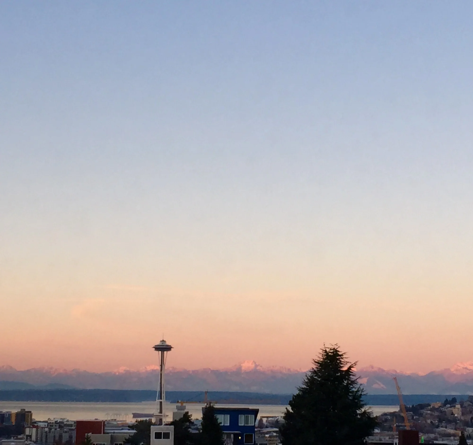 Protesters vs. Downtown Seattle Businesses?