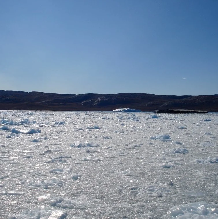 China and the Arctic