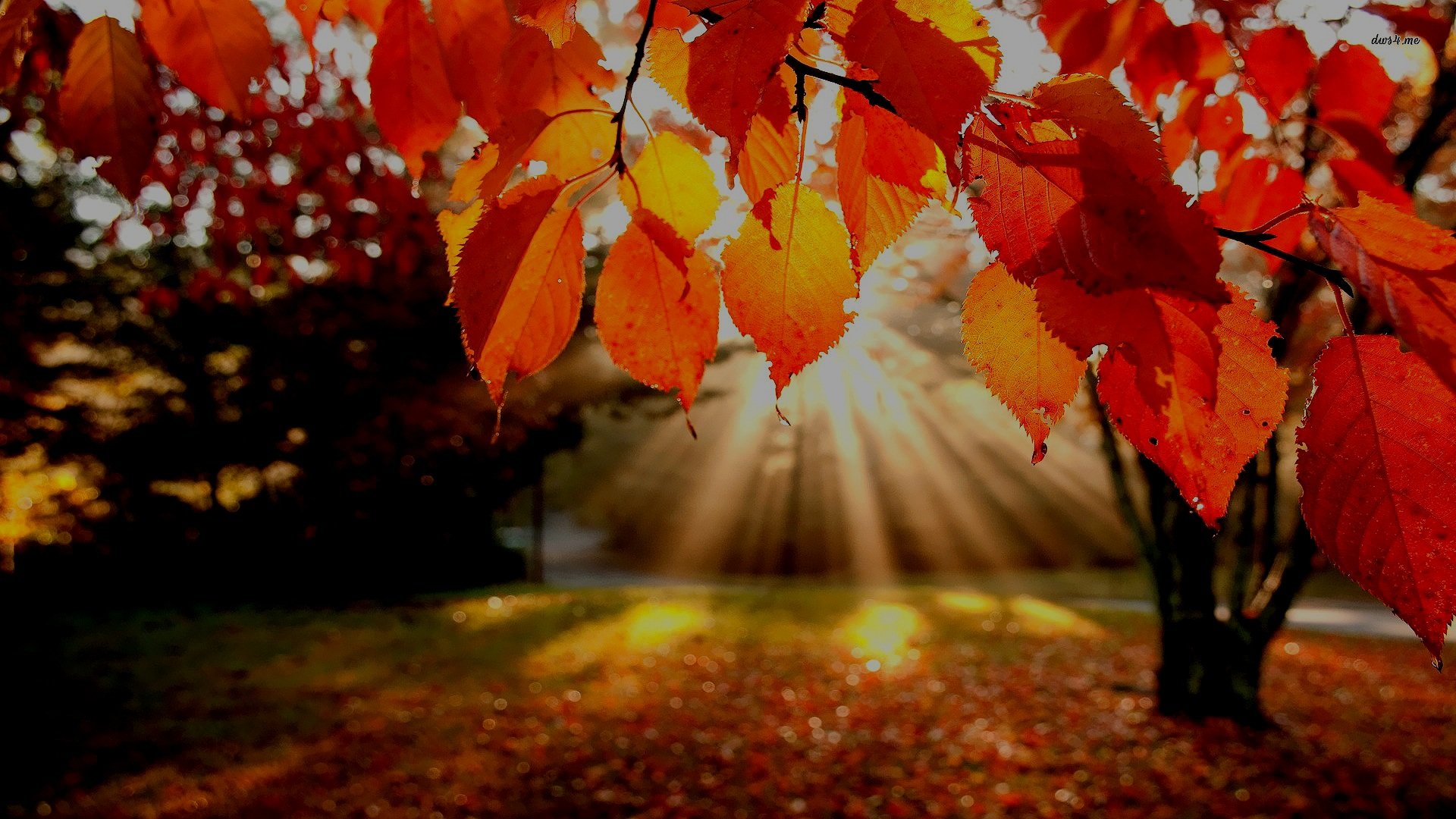 Gathering+Church+-+THEME+%28AUTUMN+LANDSCAPE+3673%29.jpg