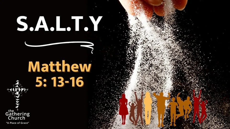 S.A.L.T.Y. Series