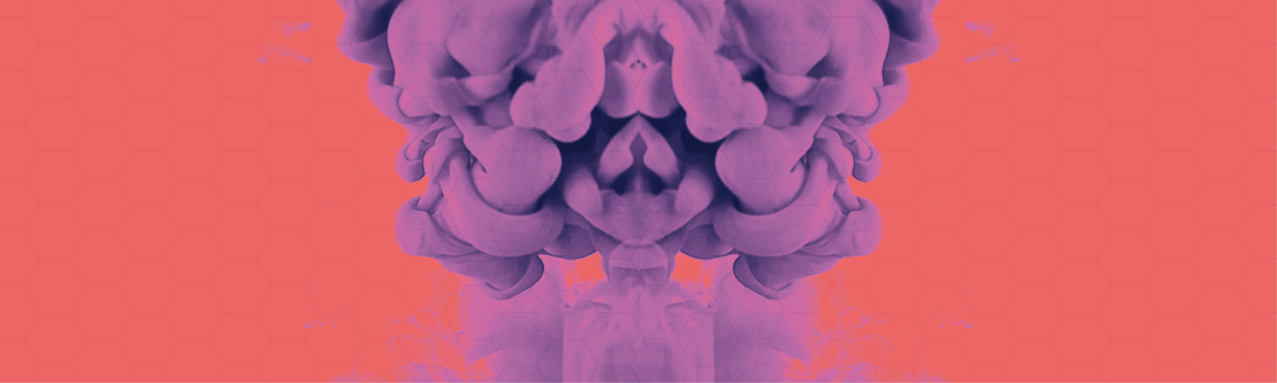 02_IB_ANA_VIS_Contact_Header.png