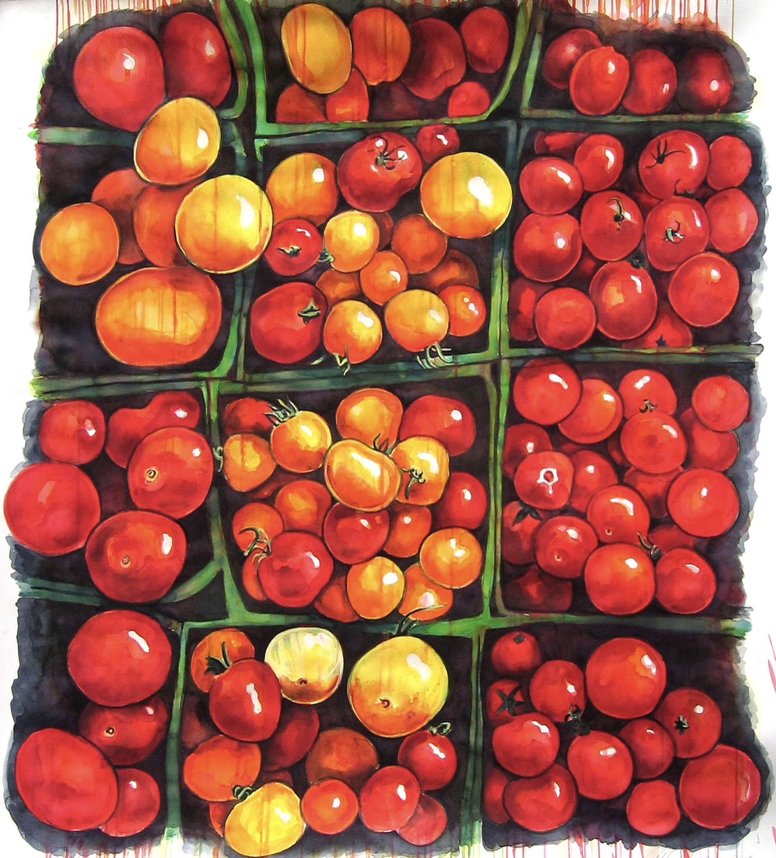 All Photos courtesy of Abbie Zuidema