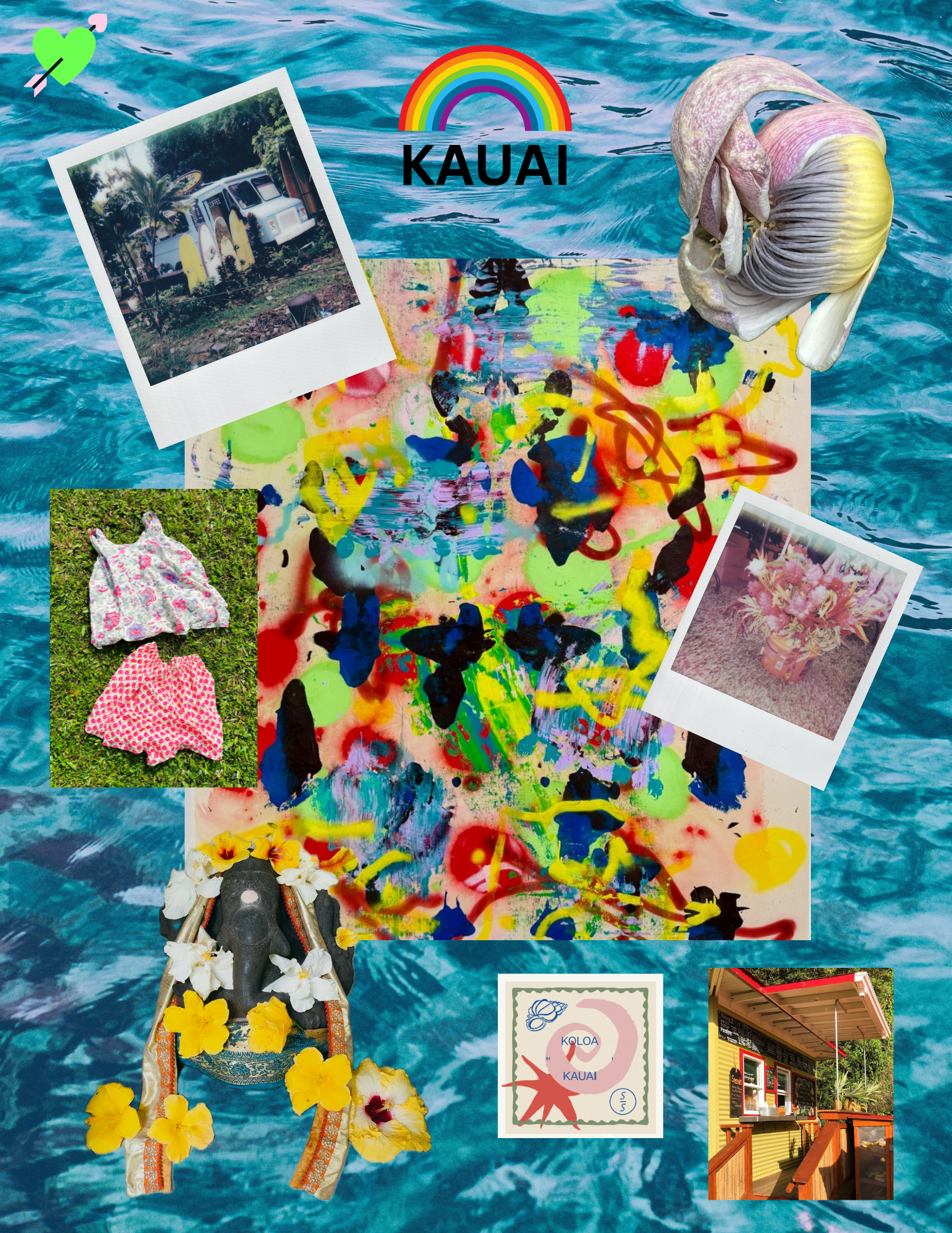 jenny top 8 no. 12 KAUAI