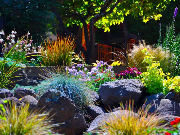 An Easy Way to Create Abundance in All Areas of Your Life