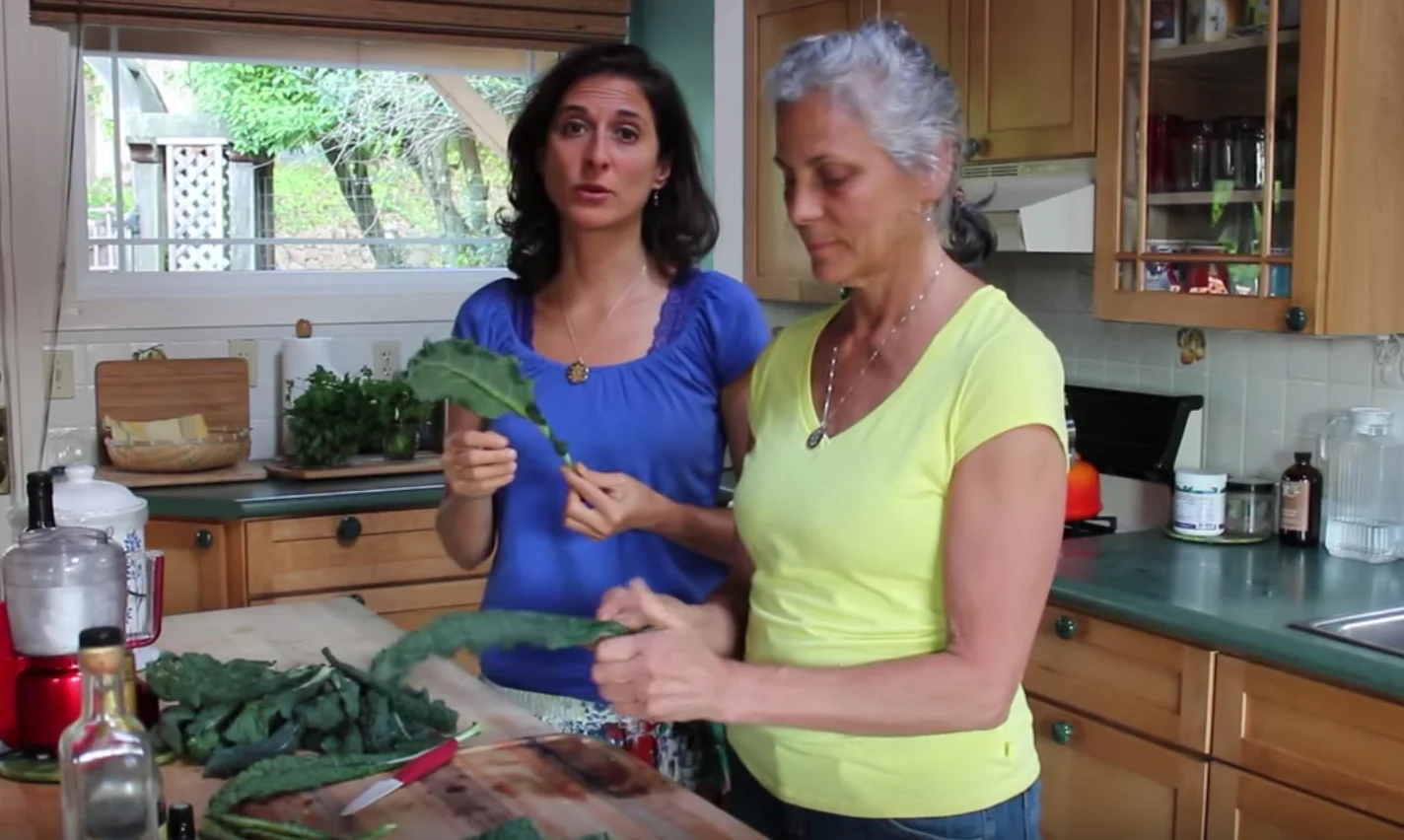Take Healthy Food On The Road: Make Your Own Kale Chips (Gluten Free. No Nuts)