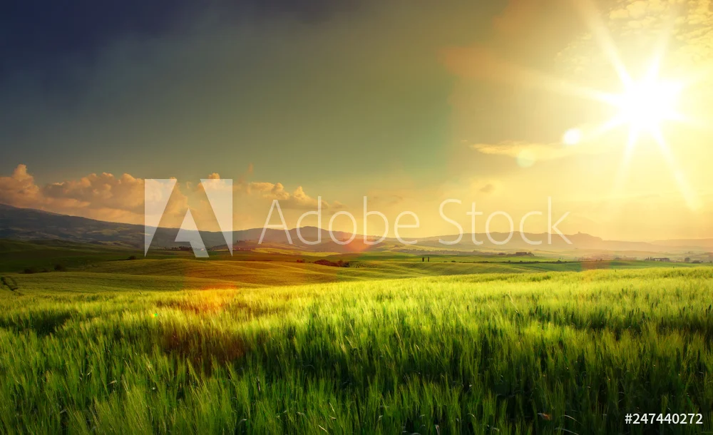 AdobeStock_247440272_Preview.jpeg
