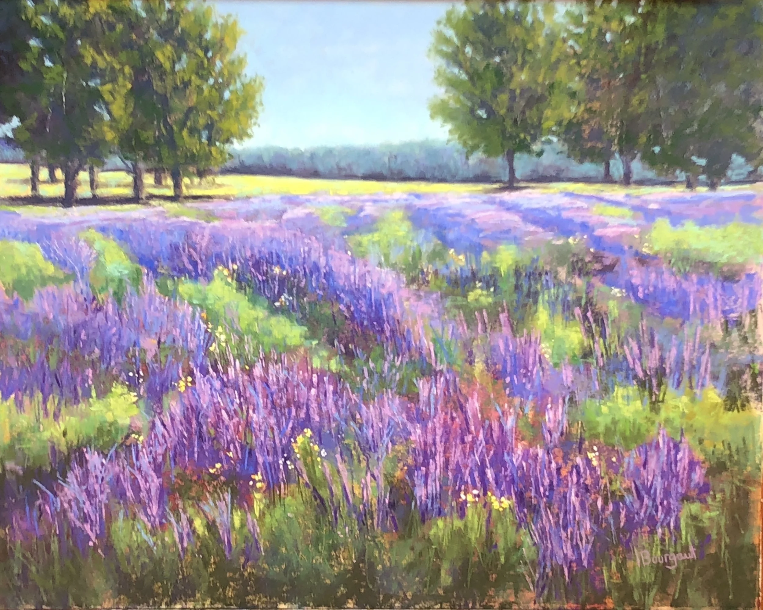 Un après-midi chez Bleu Lavande