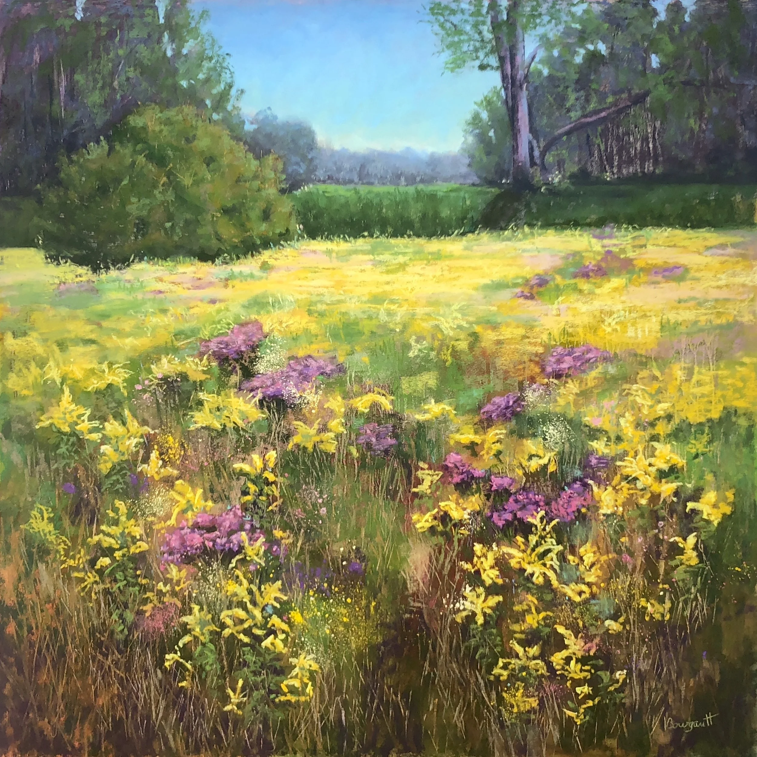 Symphonie en jaune: solidagos et asters