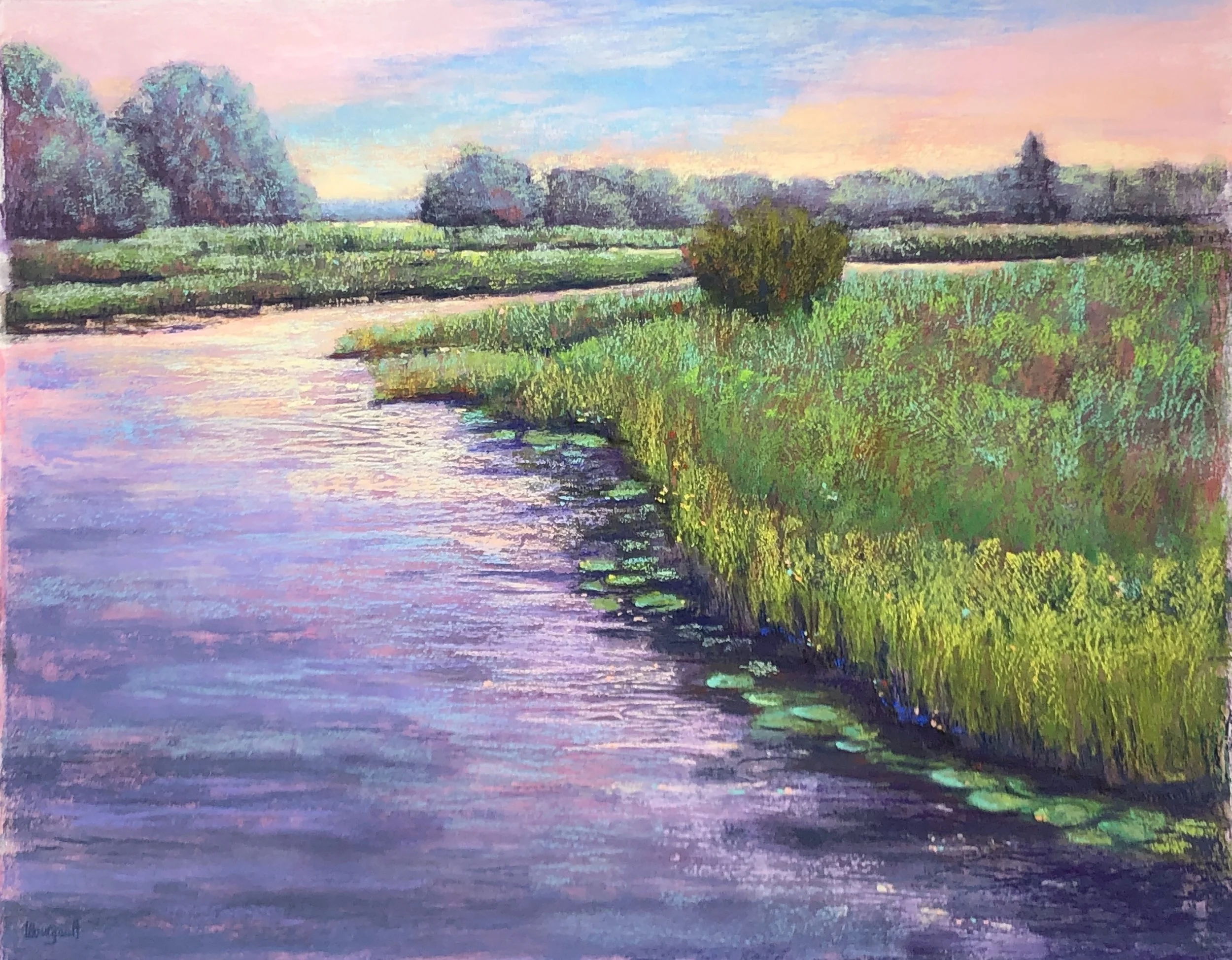 Effets de lumière, marais de la Rivière aux cerises