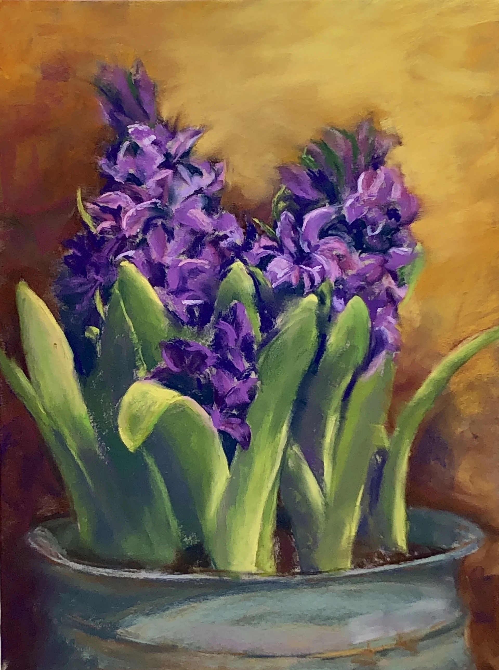 Des jacinthes pour Laurence / Hyacinths for Laurence