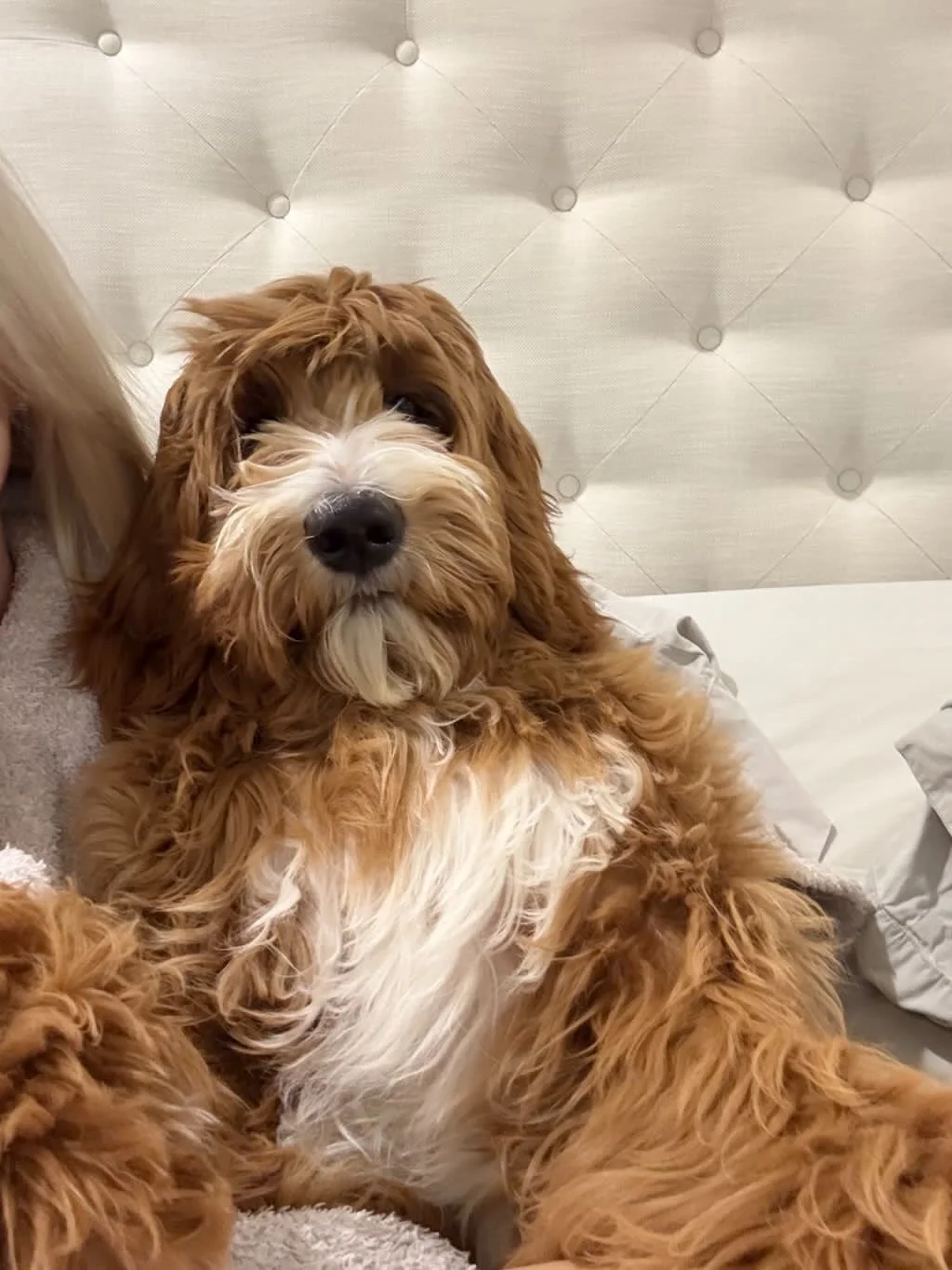 F449D727-EDA7-489D-83DA-B098EAFED6A9 2.JPG