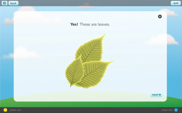 these_are_leaves.jpg