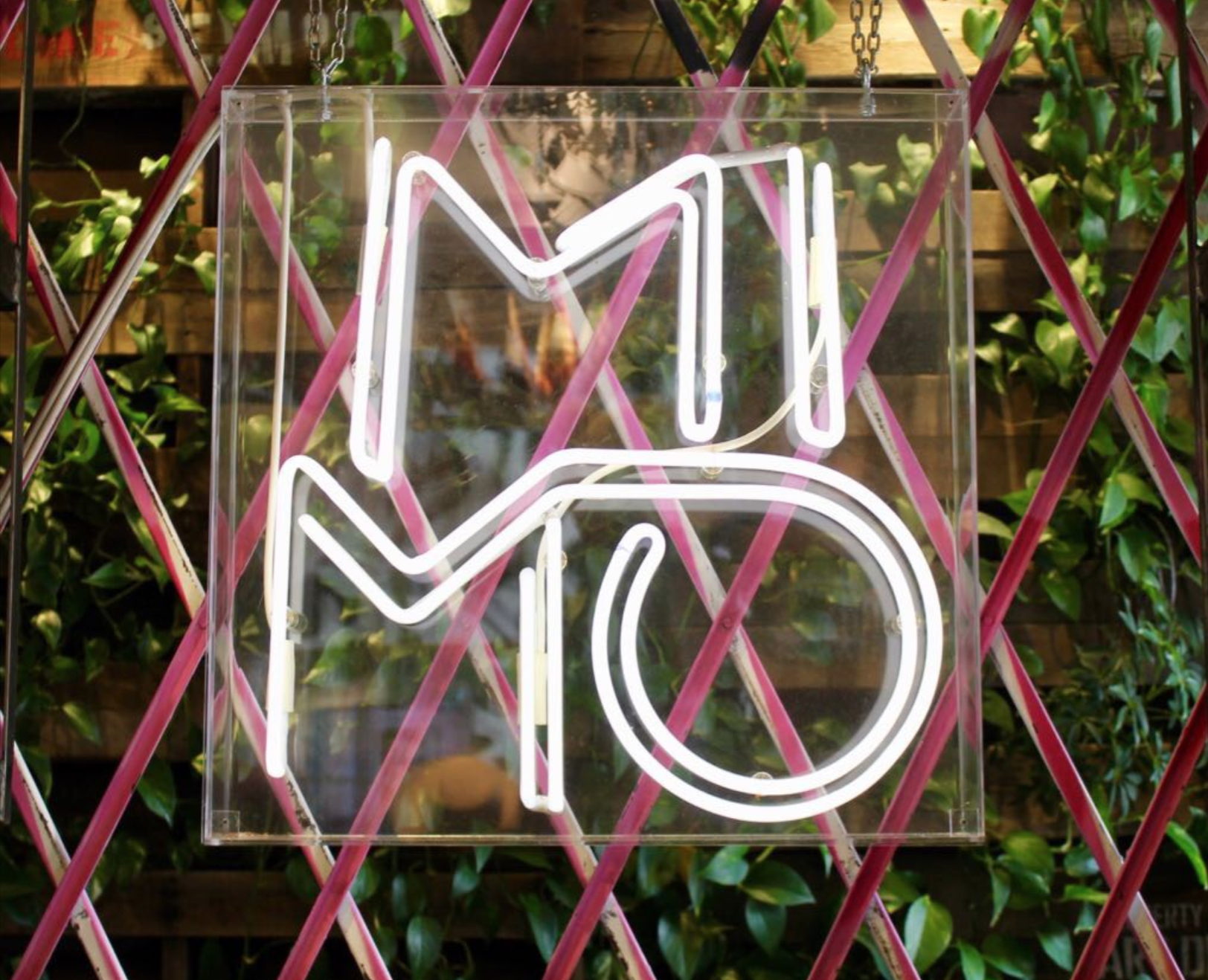 Screen Shot 2018-10-31 at 10.34.51 AM.png