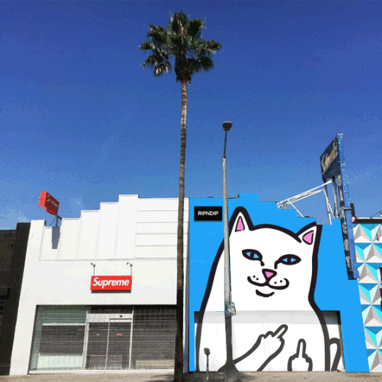 RIPNDIP-POP-UP-STORE-IDEA2-540x540.gif