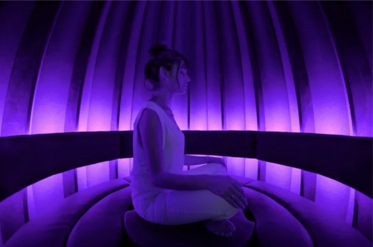 04.purple.jpg