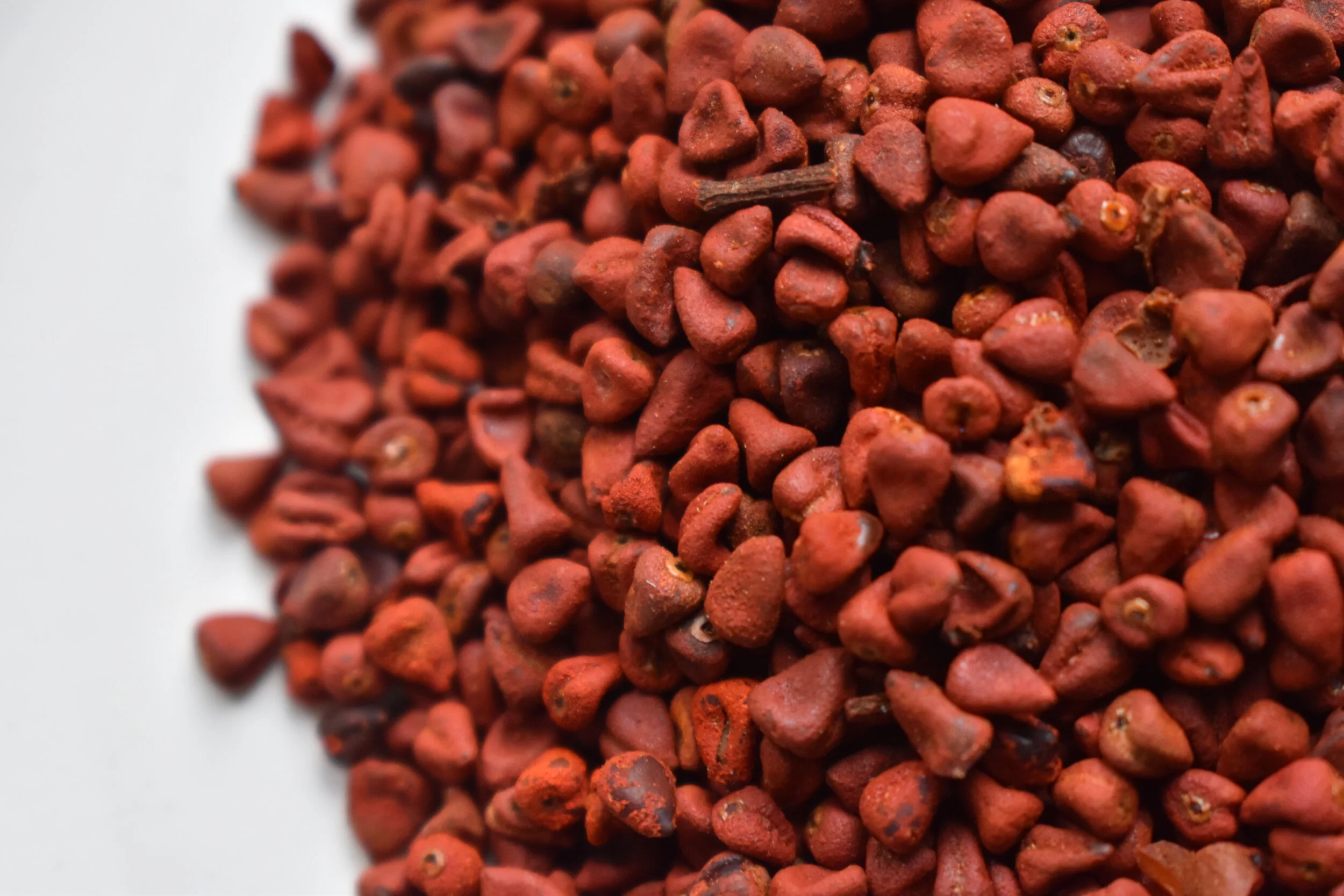 Graines de Rocou // Orangé - jaune