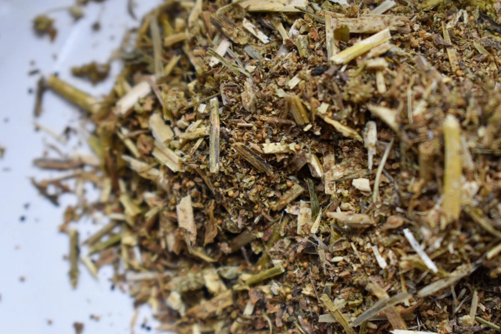 Réséda (ou Gaude)  // Jaune