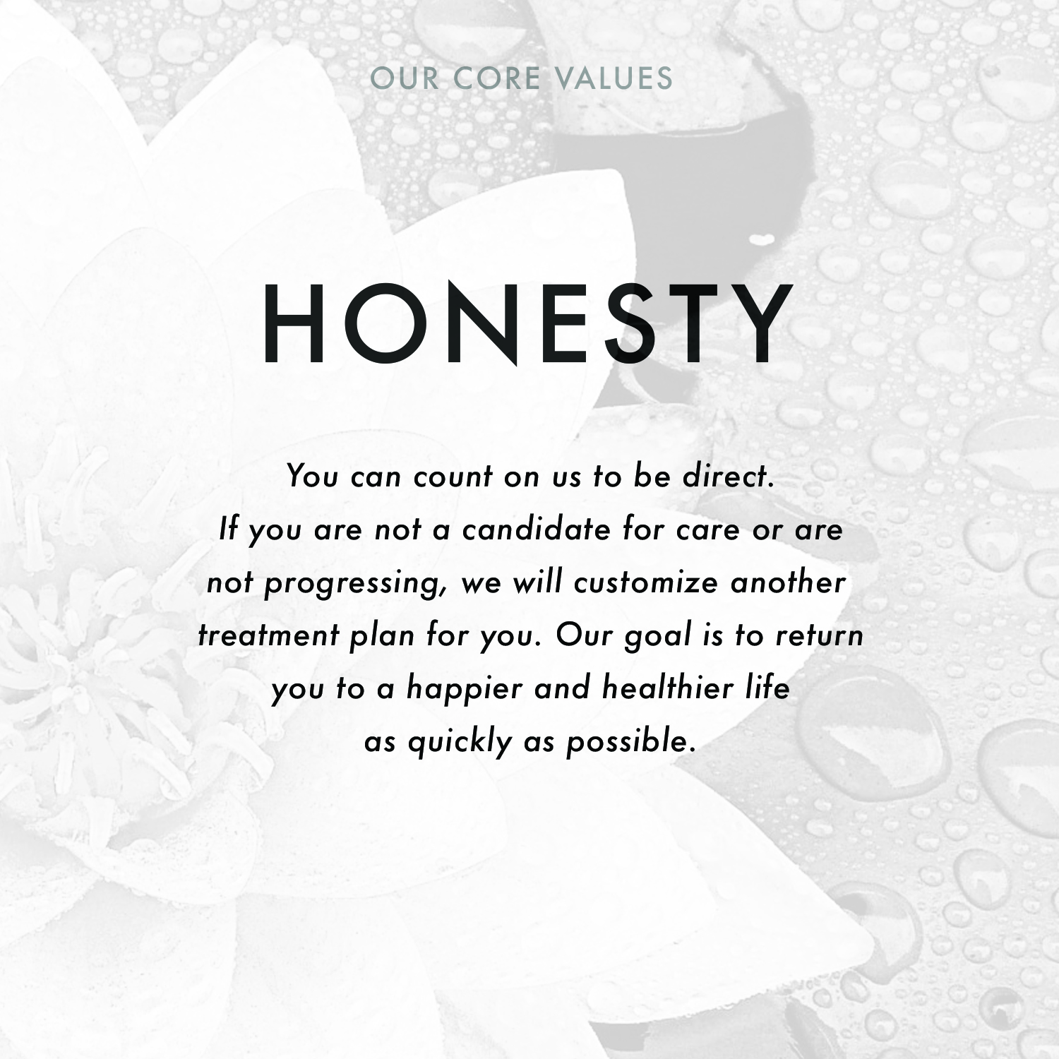 (2)Core_HONESTY.jpg