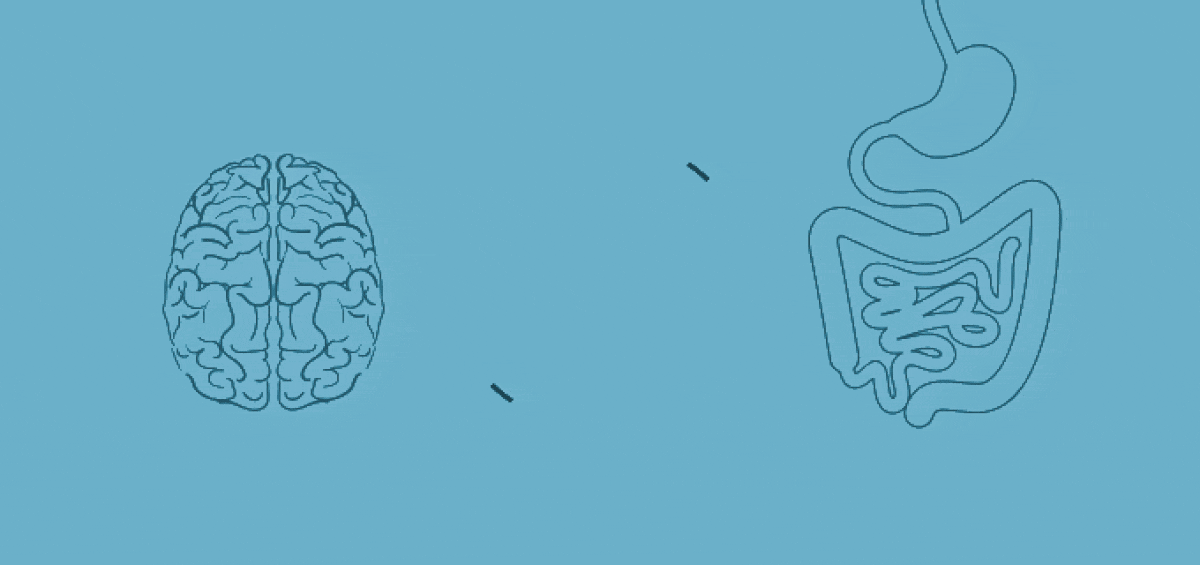 Brain Gut Connection_Metabolic_Autoimmune_Gastrointestinal_Conditions_animation_integrated brain and spine center_integrated physicians medical group_functional medicine_chiropractic neurology.gif