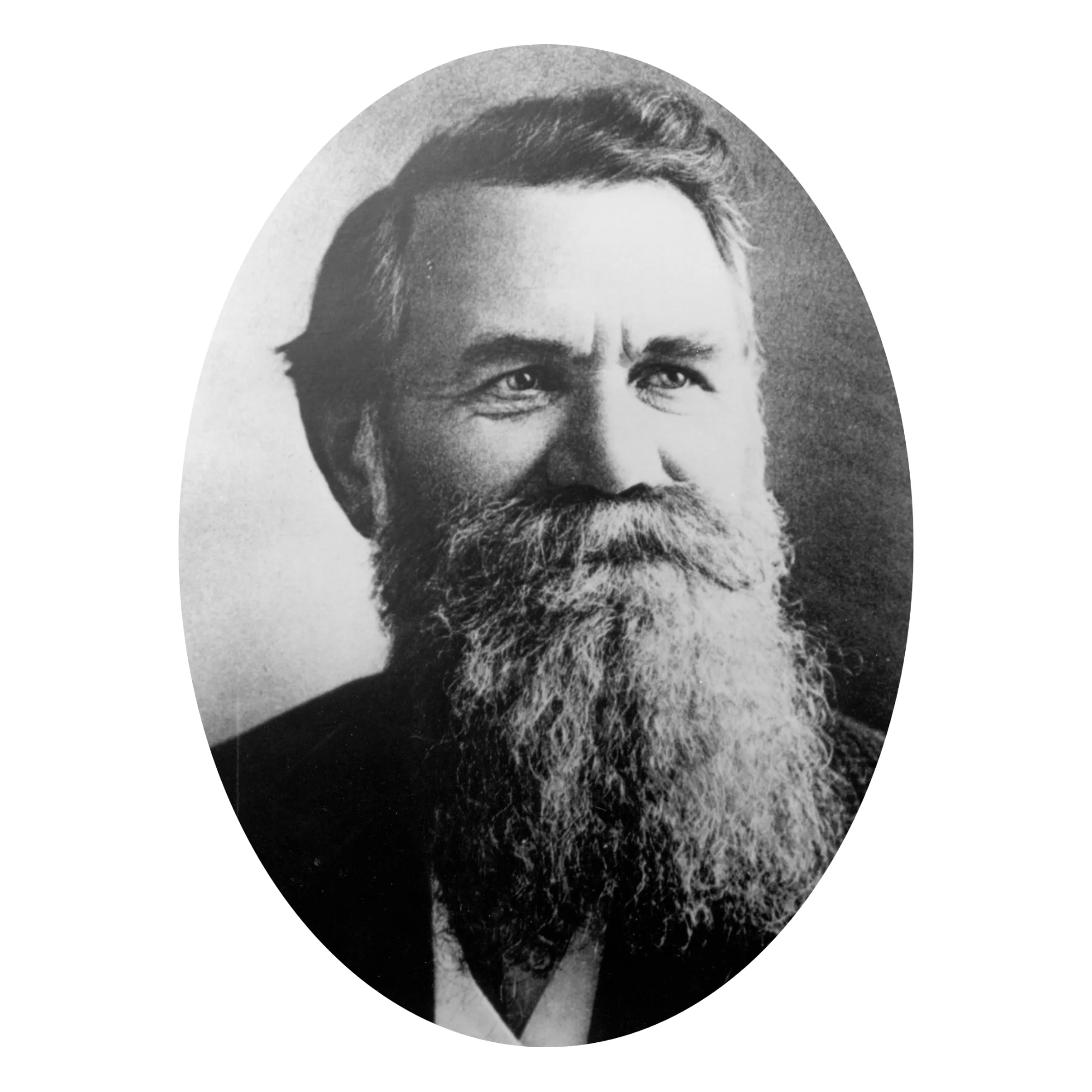 DD-Palmer_history-of-chiropractic_integrated-physicians-medical-group_the-integrated-brain-and-spine-center-for-functional-neurology-and-medicine.jpg