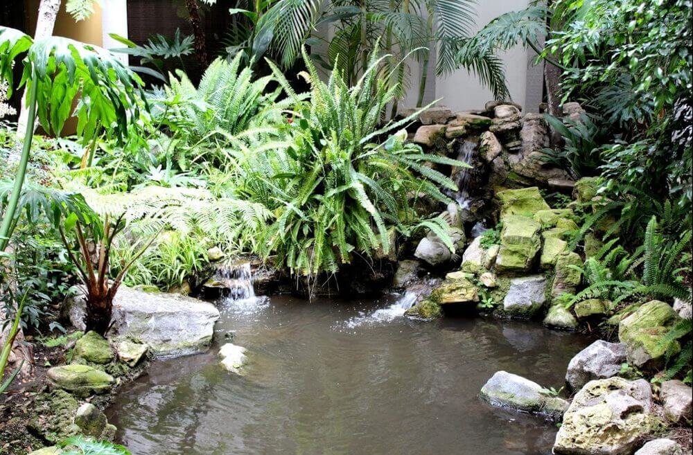 integrated physicians medical group chiropractor office garden pond peace zen.jpg