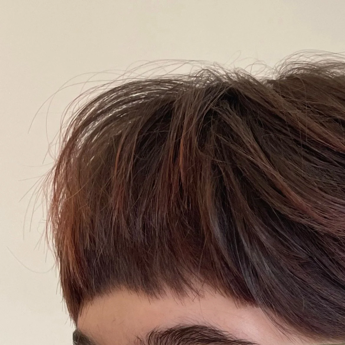 AVEDA DEEP HAIR COLOR w/ KB