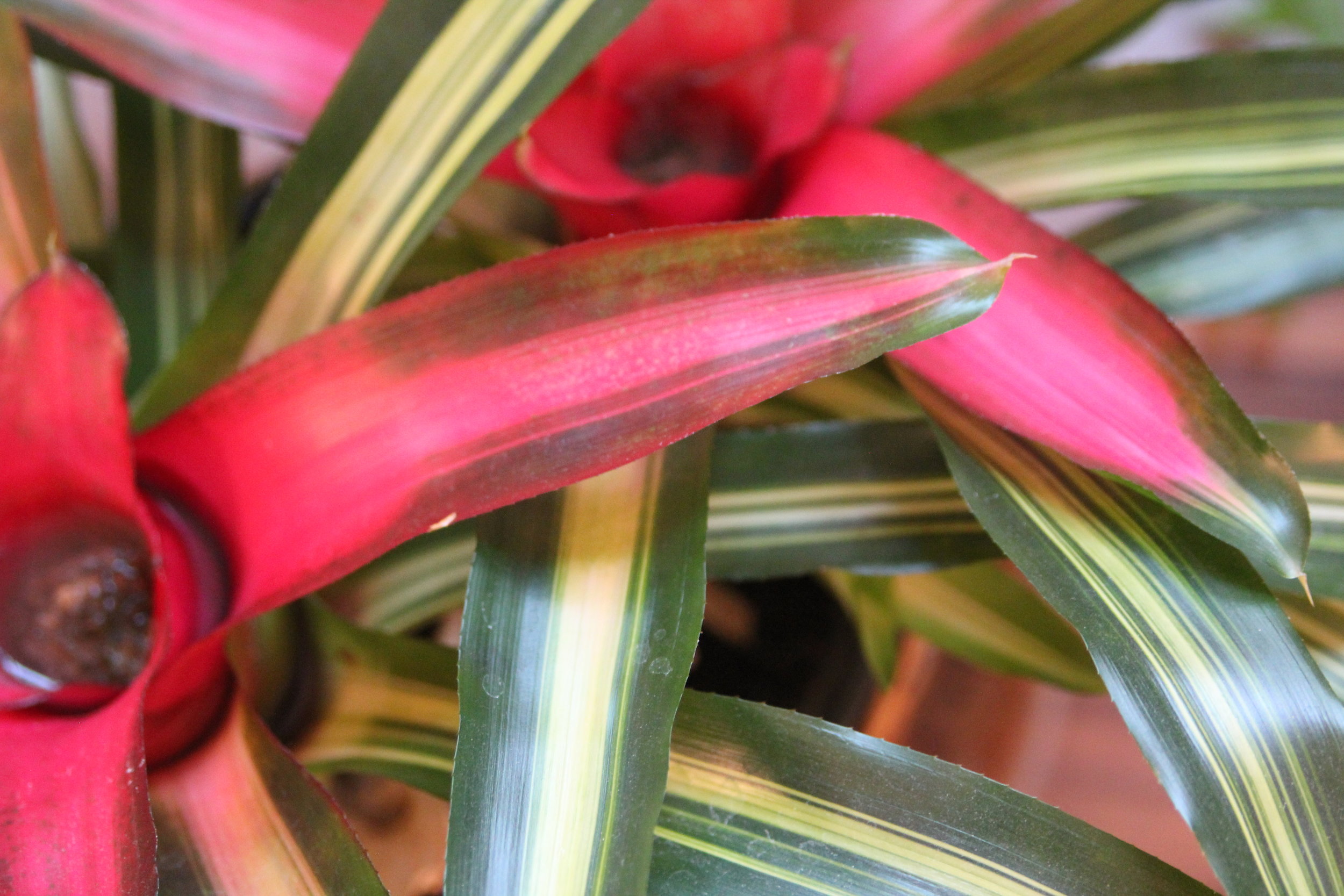 Open Studio in The Art Room