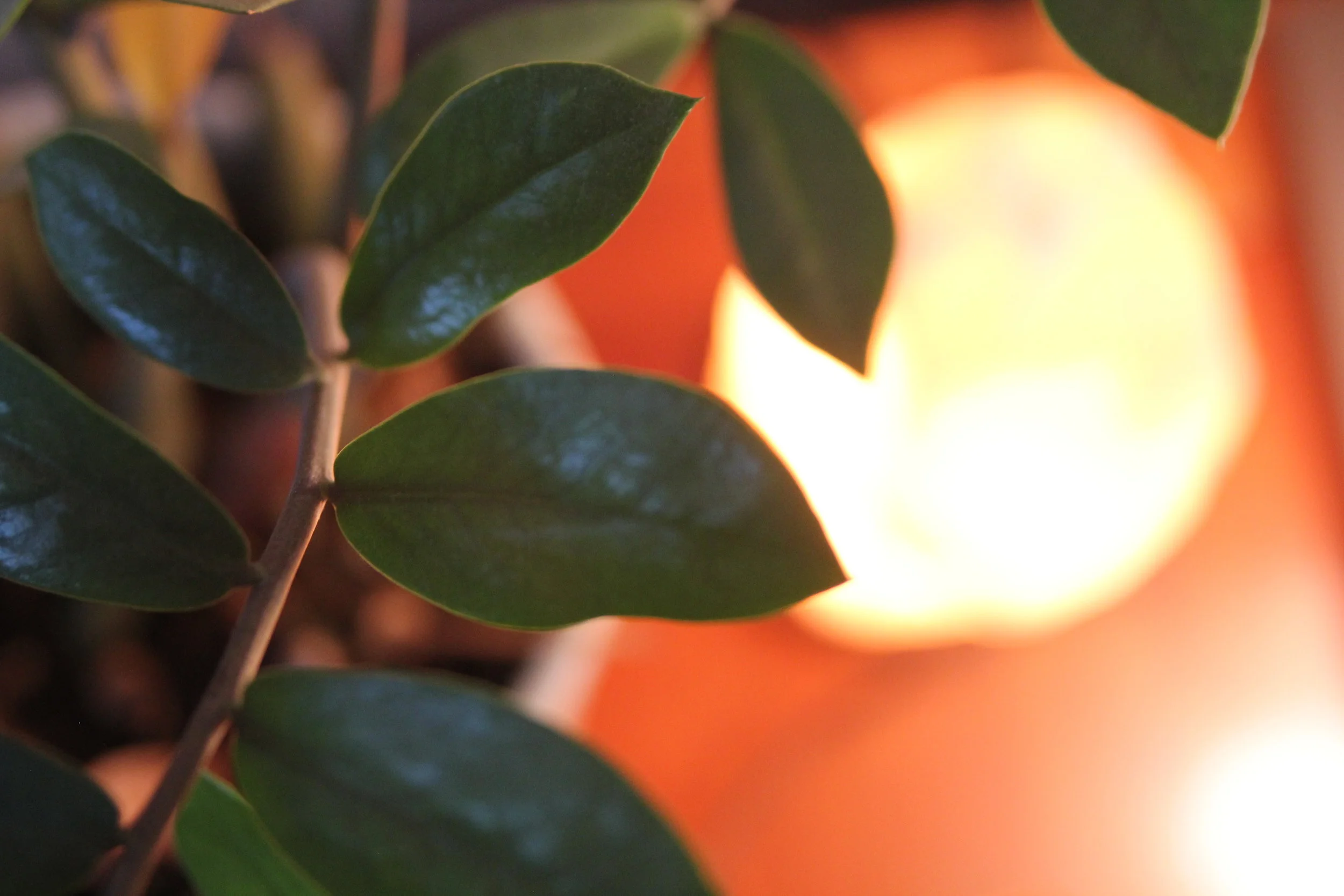 Open Studio in The Art Room