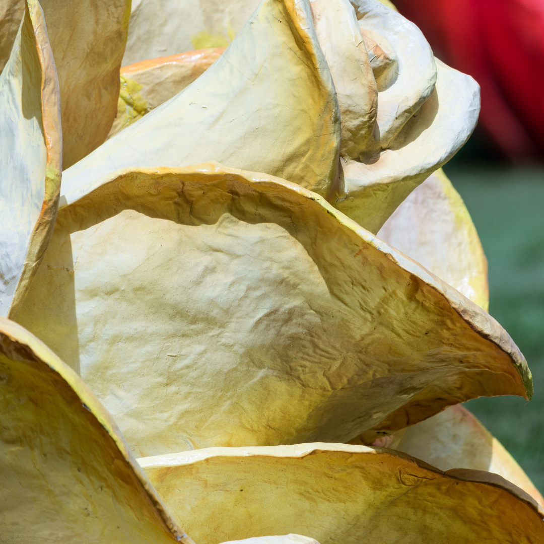 Therapeutic Thursday