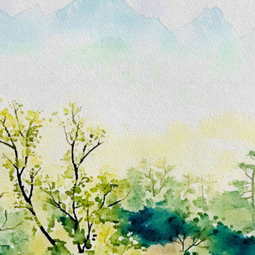 Open Studio 