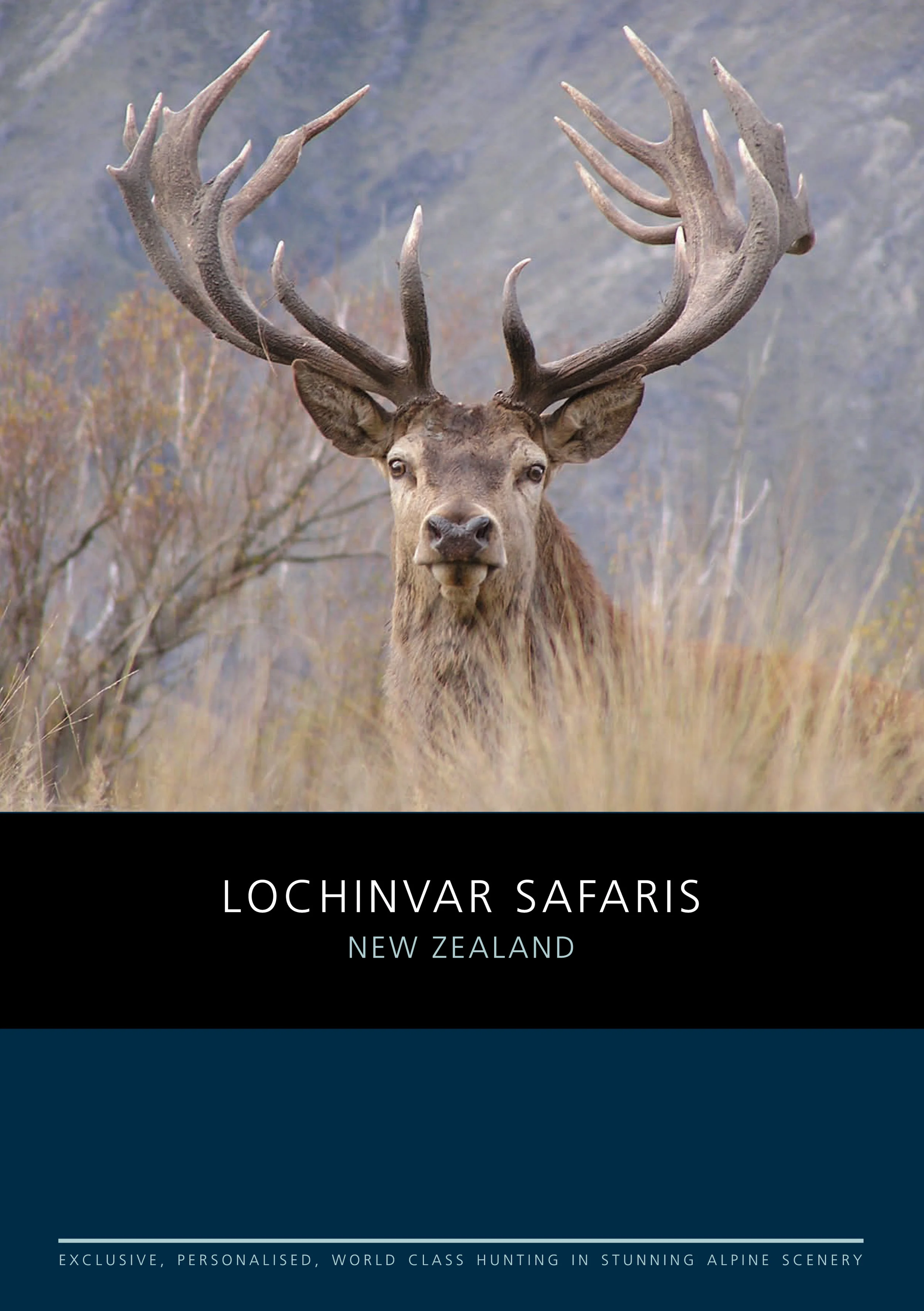 ls-cover.jpg