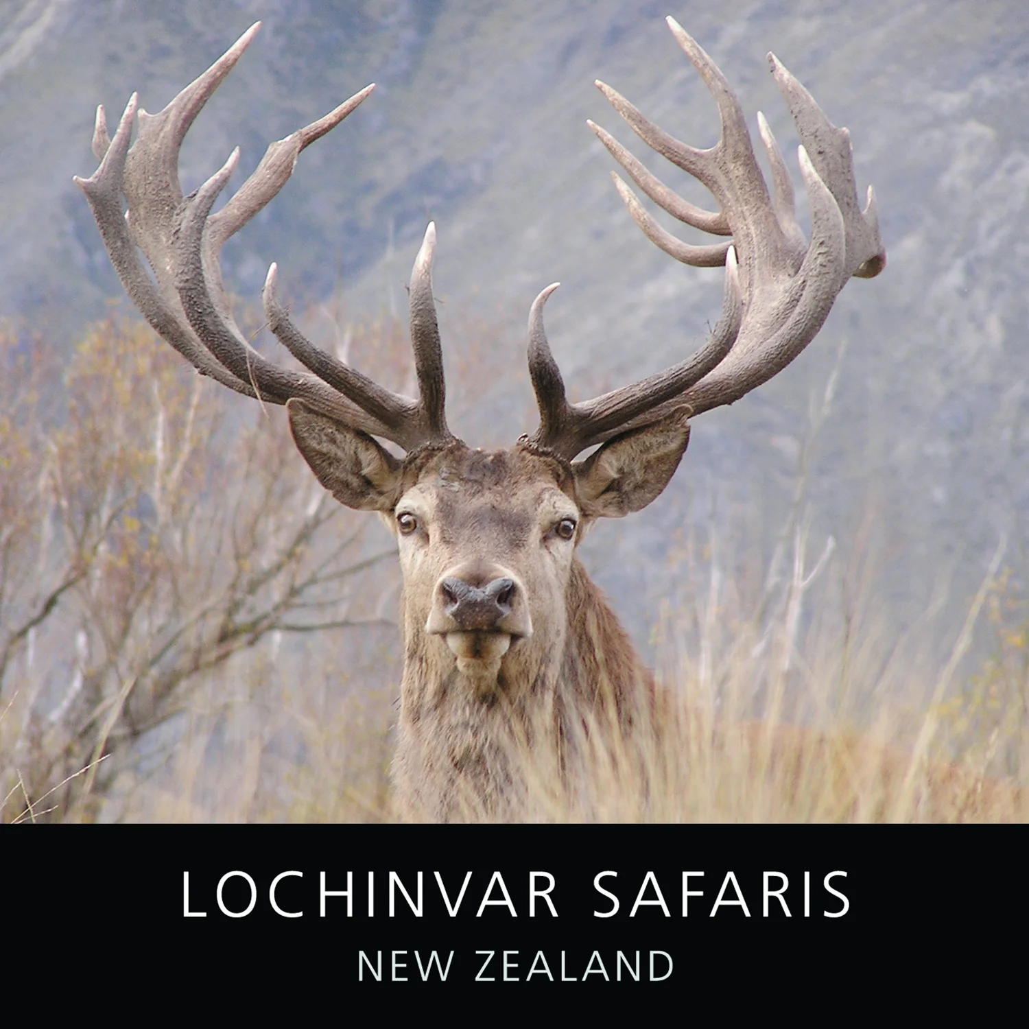 lochinvar-thumbnail.jpg
