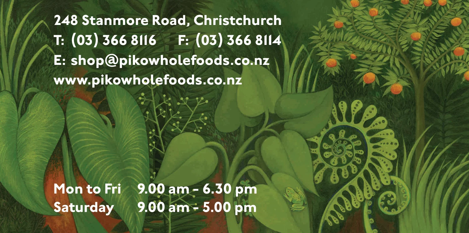 piko-wholefoods-business-card-2.jpg
