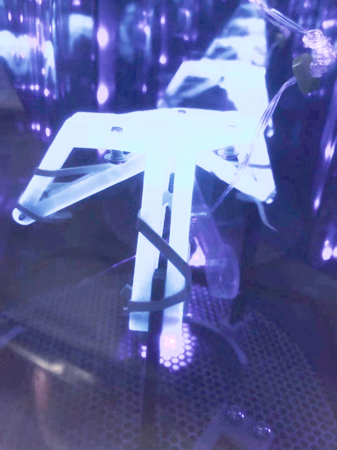 Project of Design I, The Swinging Gripper