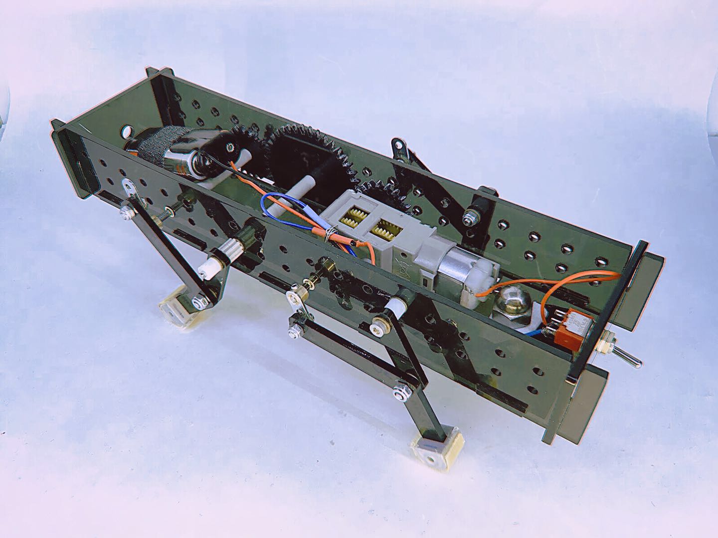 Project of Design I, The Walking Robot