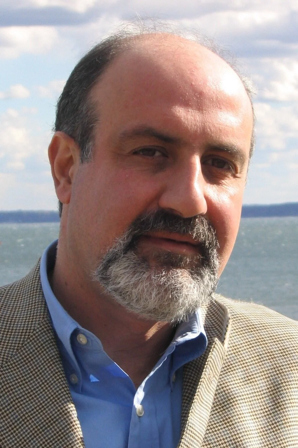Taleb Square SALT — Nassim Nicholas Taleb