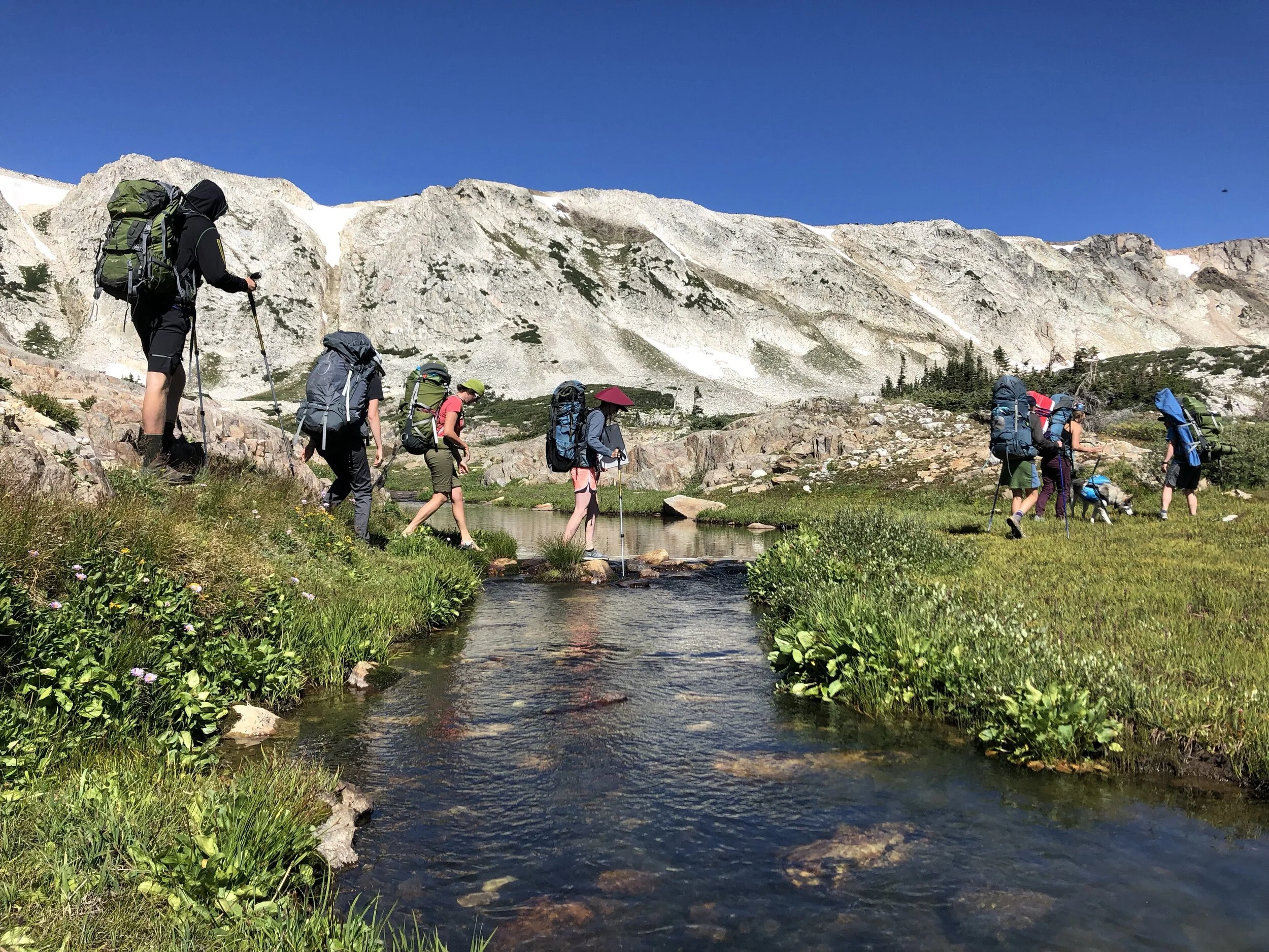 Paths of Resiliency