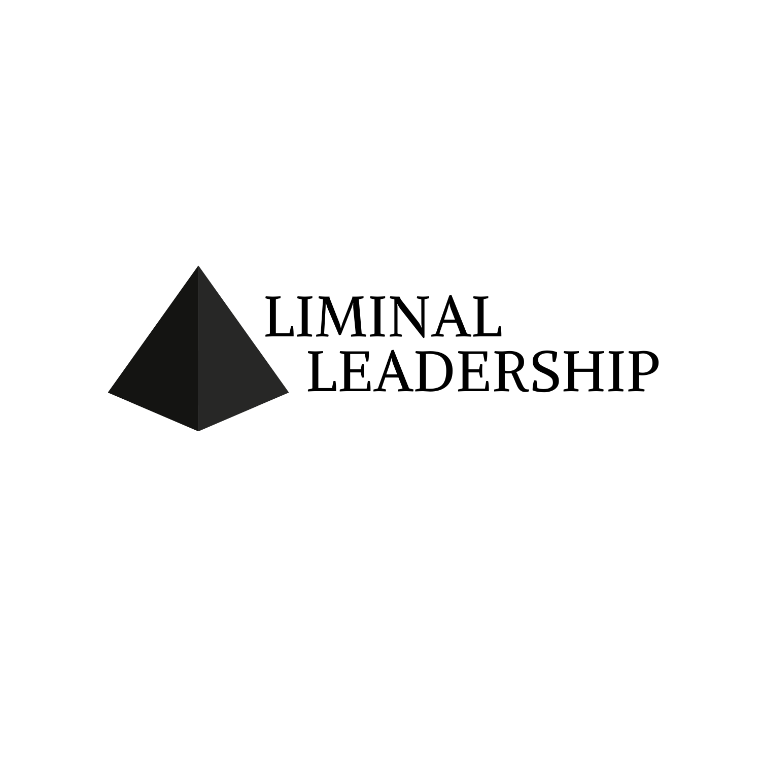 Let s Connect Liminal Leadership