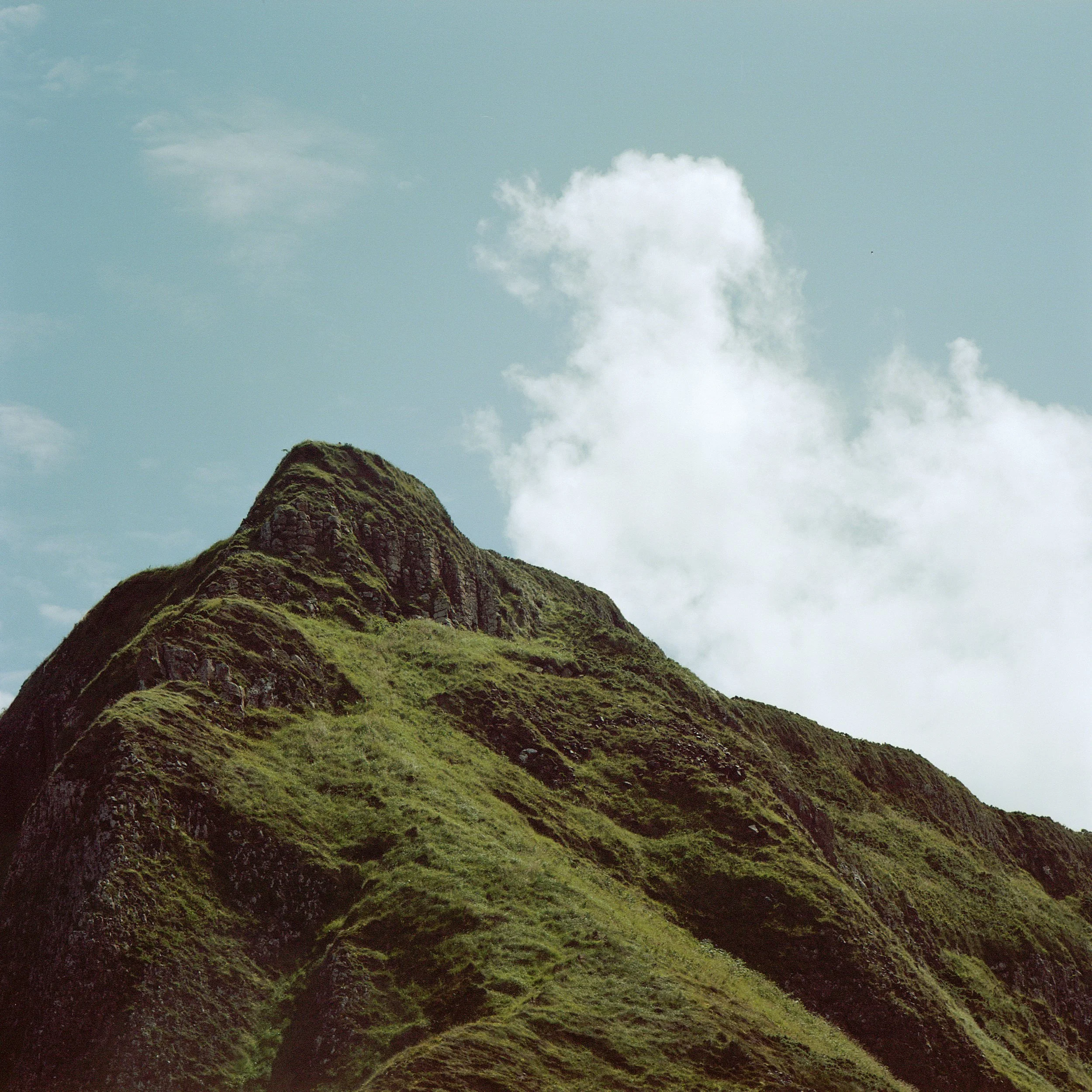 BZ_Stills-3.jpg