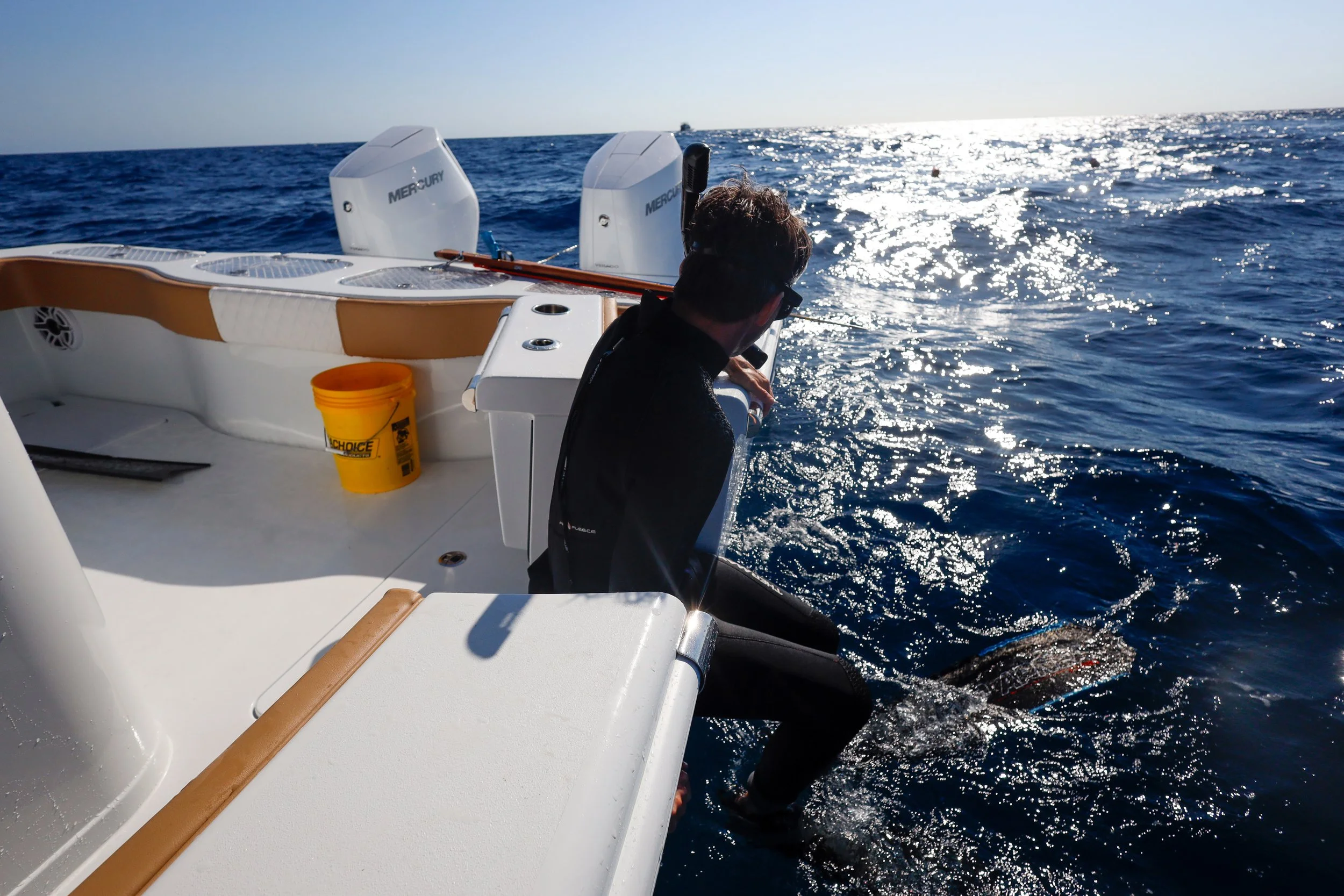 A person in a wetsuit exiting the water on a boat, with diving gear, two outboard motors, a yellow bucket, and a white counter visible, while the ocean glistens in bright sunlight.