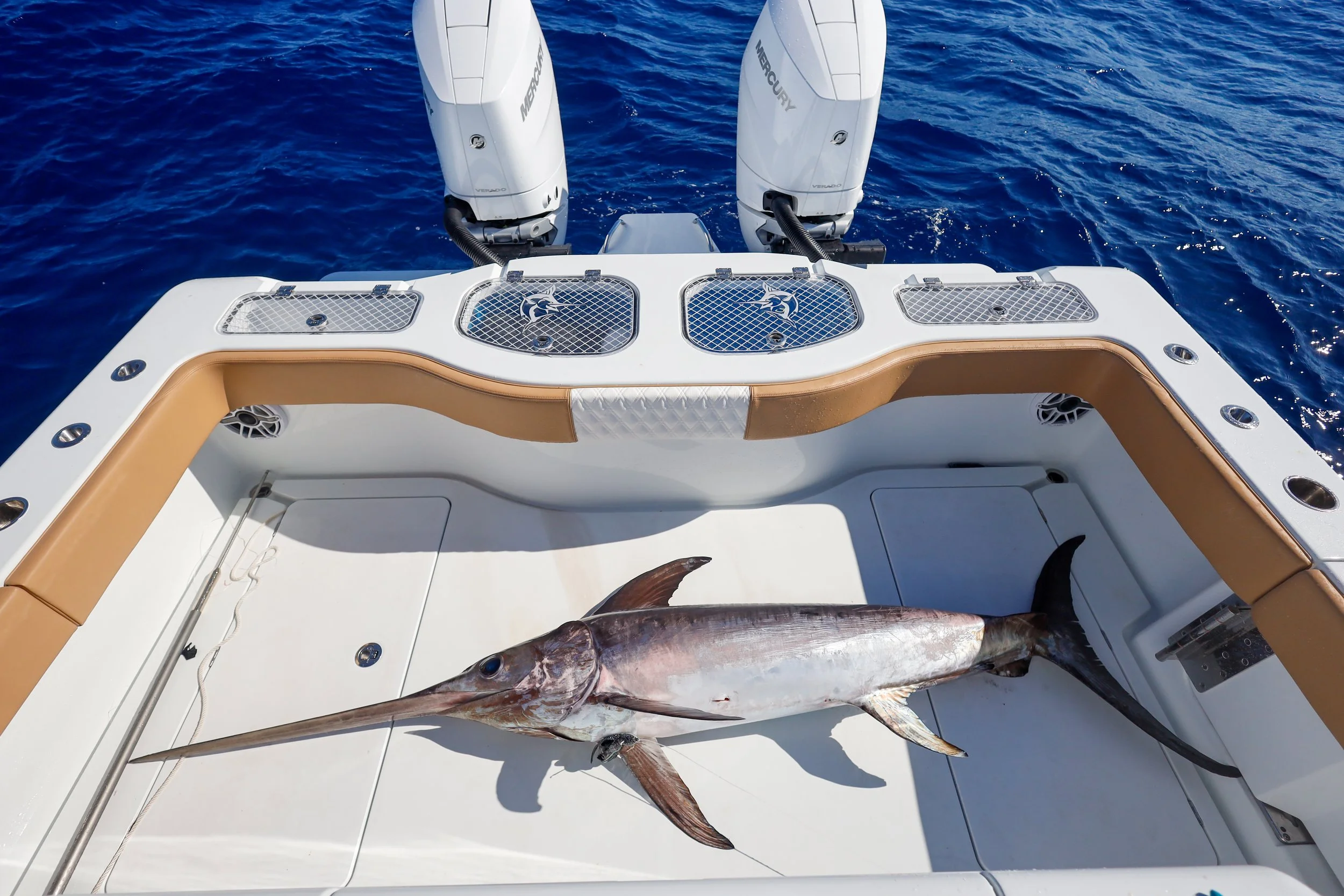 A fishing boat with a marlin fish lying on its deck, with two outboard engines and the ocean in the background.